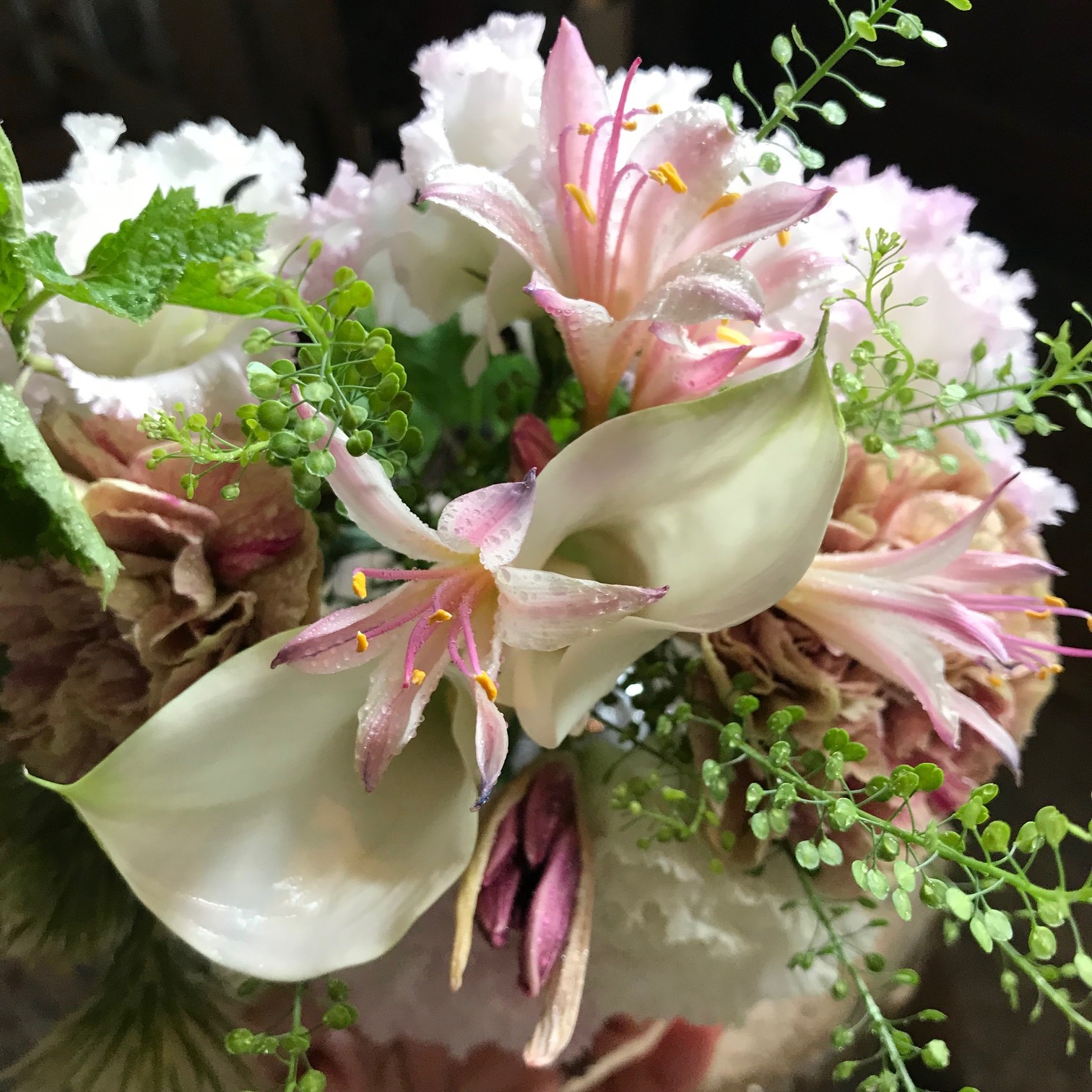 Bouquet Rond Petit 丸い花束 小さめ Fleuriste Petitapetit Bouquet Rond Petit 丸い花束 小さめ Fleuriste Petitapetit