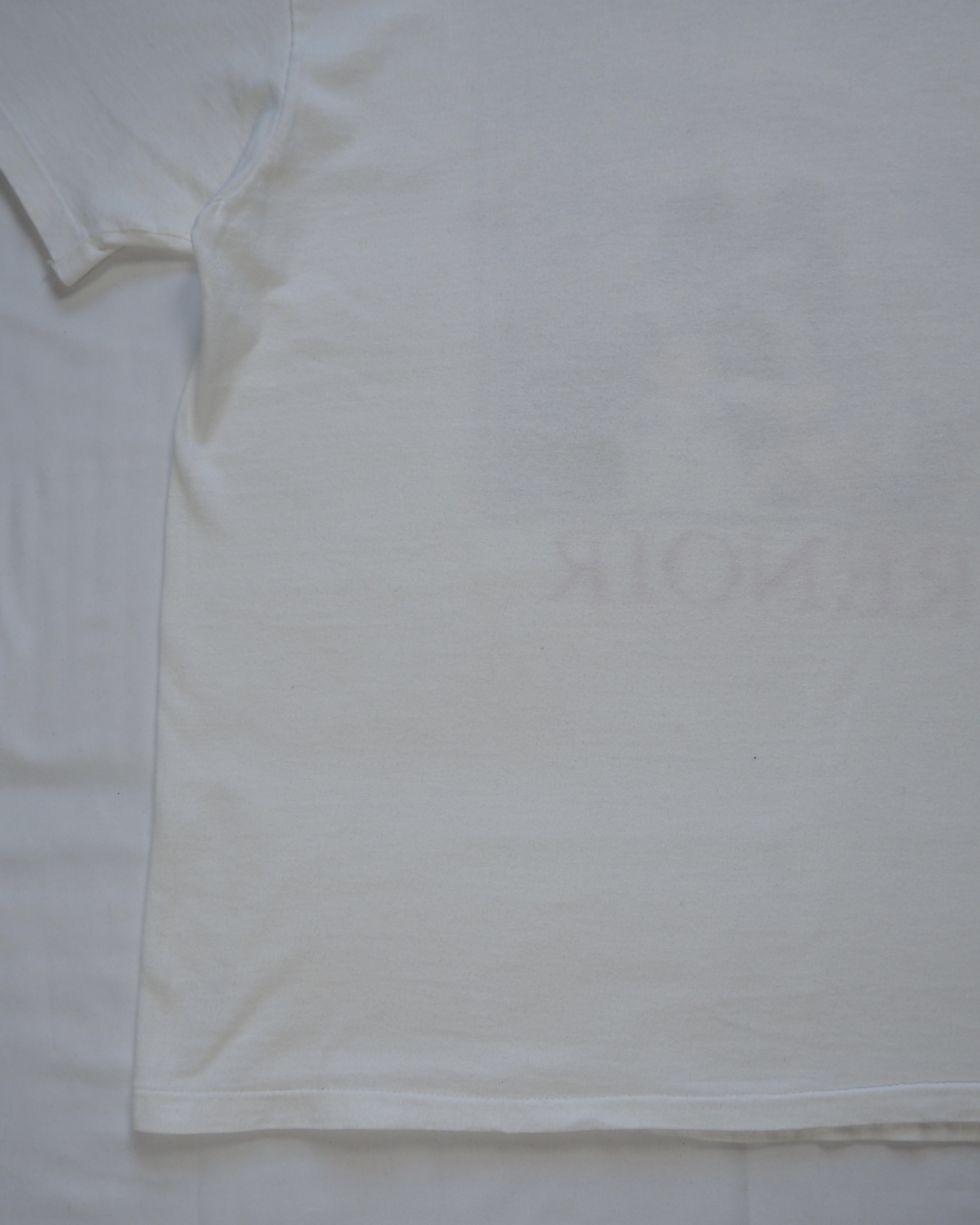 90’s Hanes アートTシャツ ルノワール 「2人の姉妹」 の画像 14