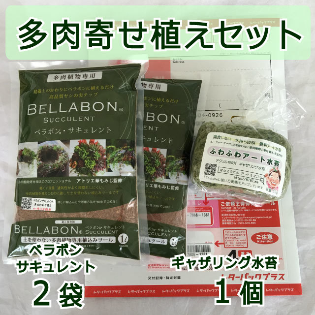 ギャザリング水苔1個&ベラボンサキュレント2袋 セット - 画像1