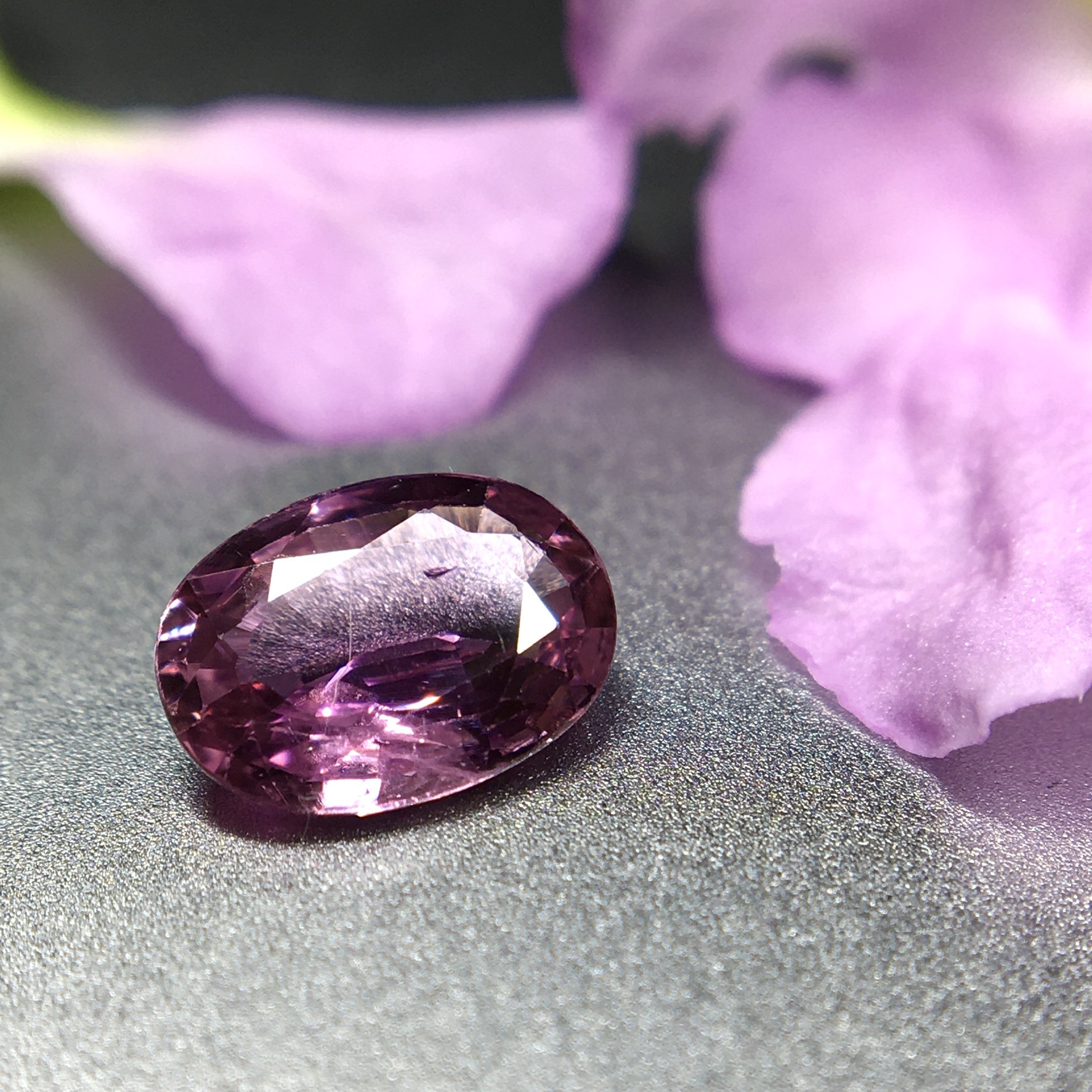 風光明媚な 桜色 の宝石 0 ct 天然パープルピンクサファイア Frederick S Gems Jewelry