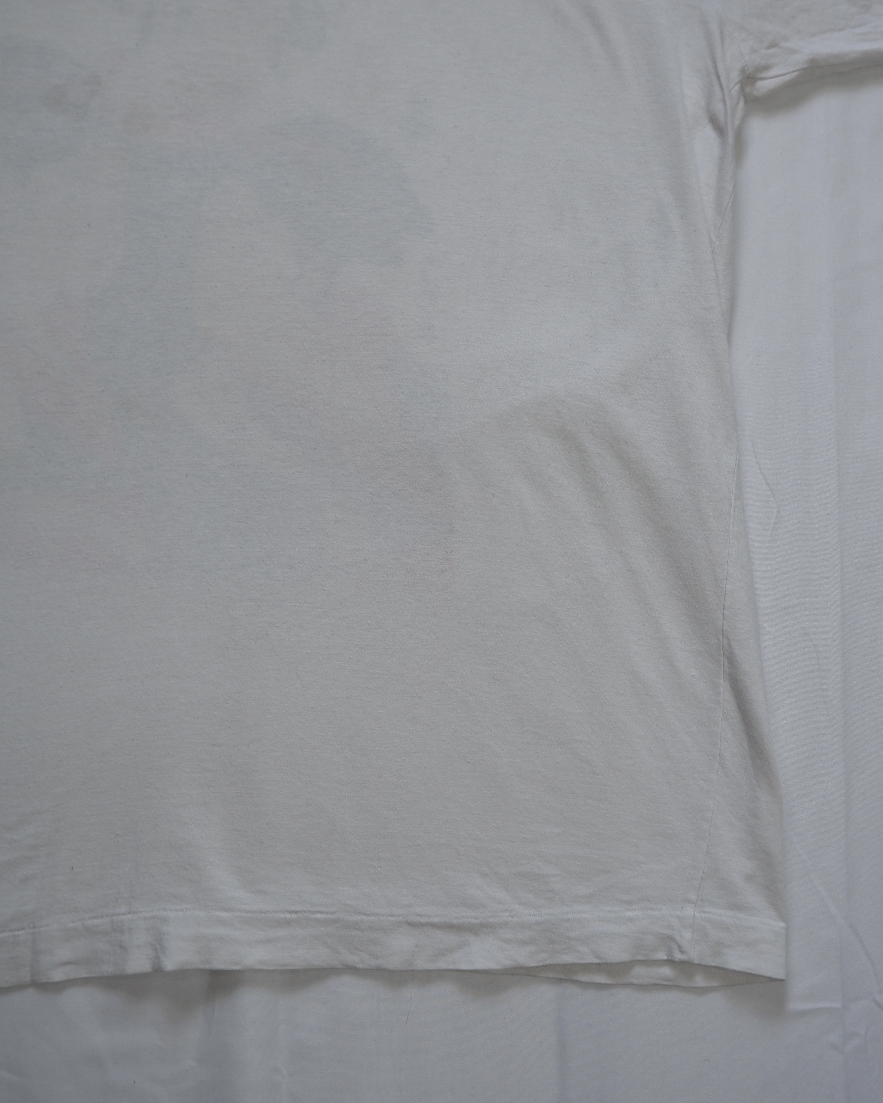 【5/7(水) 入荷商品】80’s-90’s 日本画Tシャツ の画像 13