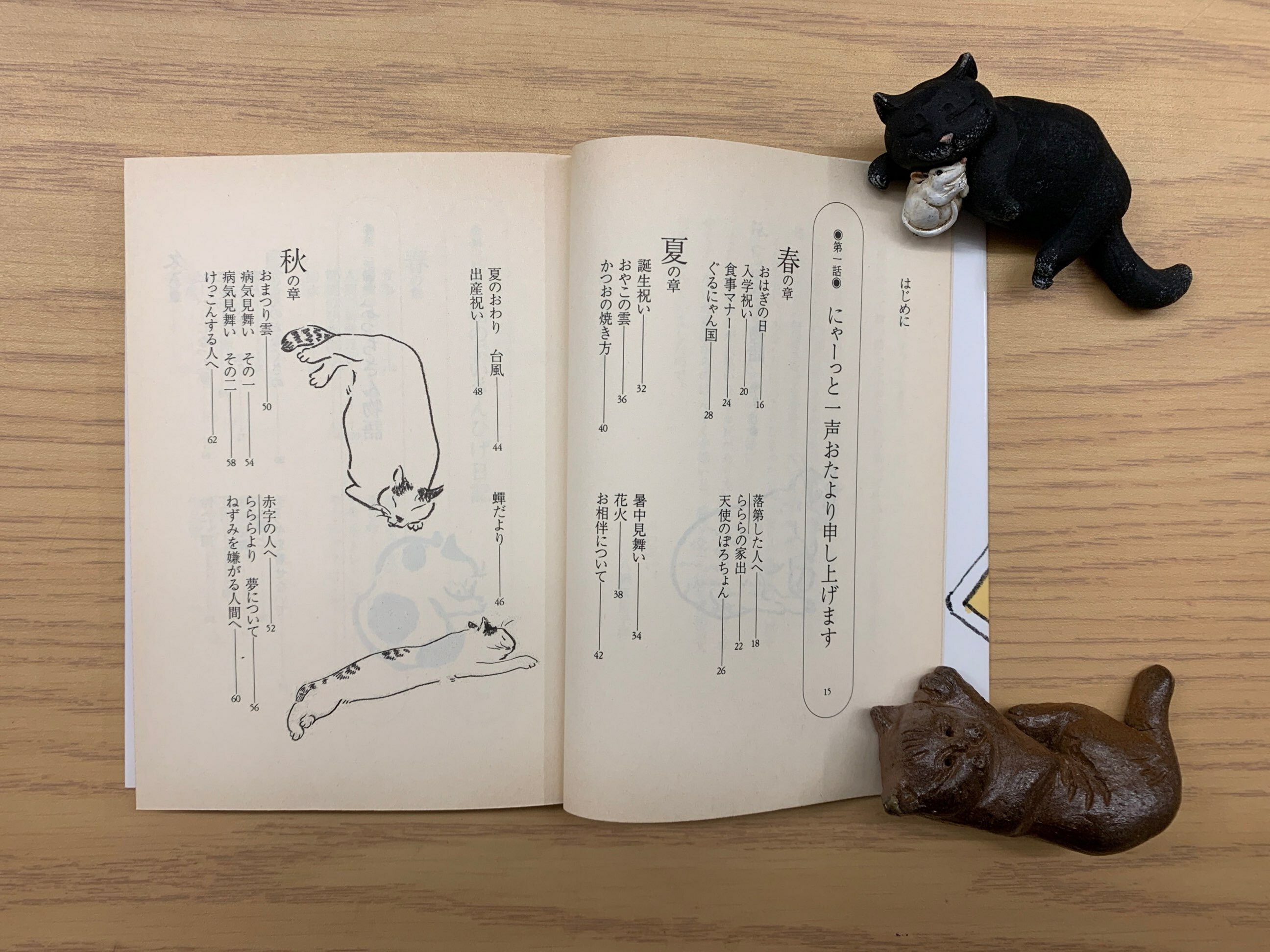 ぶっちさん物語 猫本サロン 京都三条サクラヤ ぶっちさん物語 猫本サロン 京都三条サクラヤ