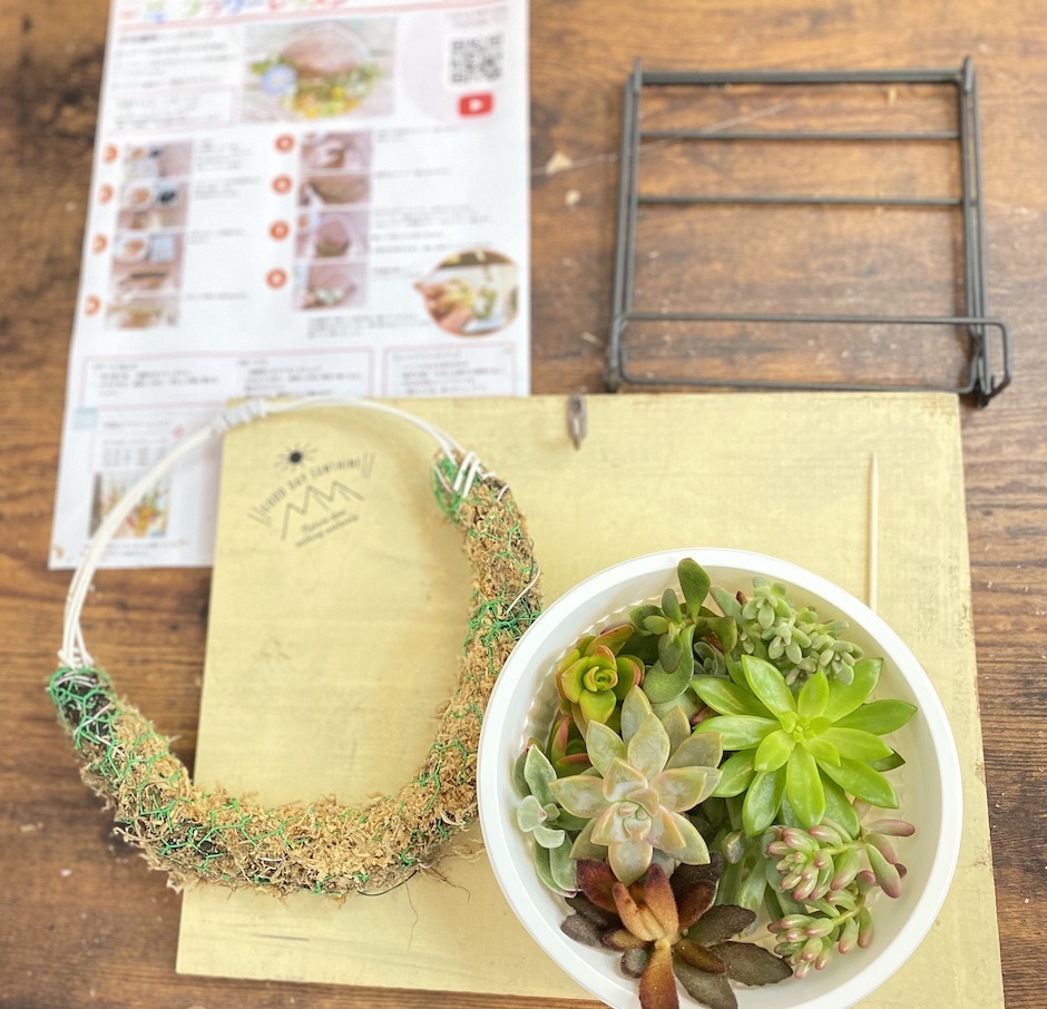 多肉植物で作るリース。手づくりキット