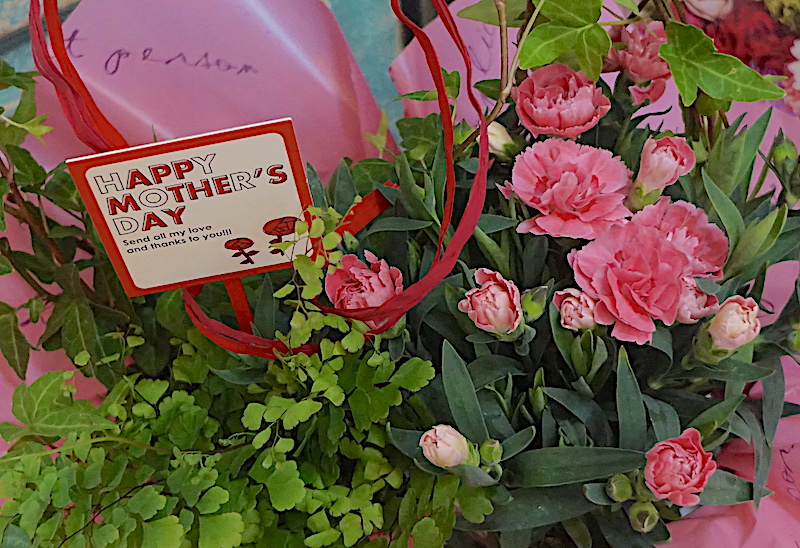 母の日 / カーネーションの寄せ植えアーチ