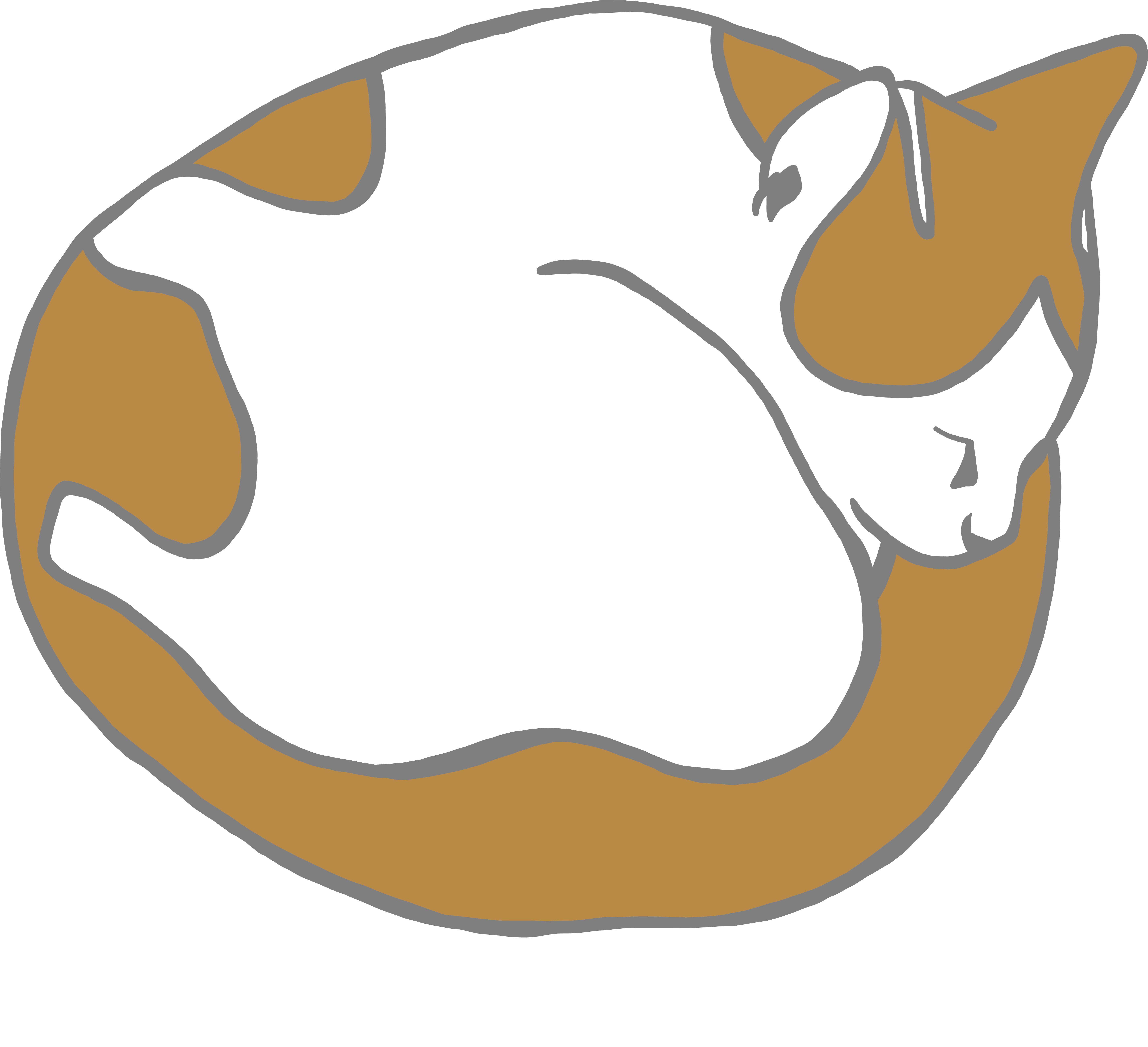 Ecobad ラグランtシャツ 眠り猫 グラフィックファッションアイテム専門店ecobad エコバド