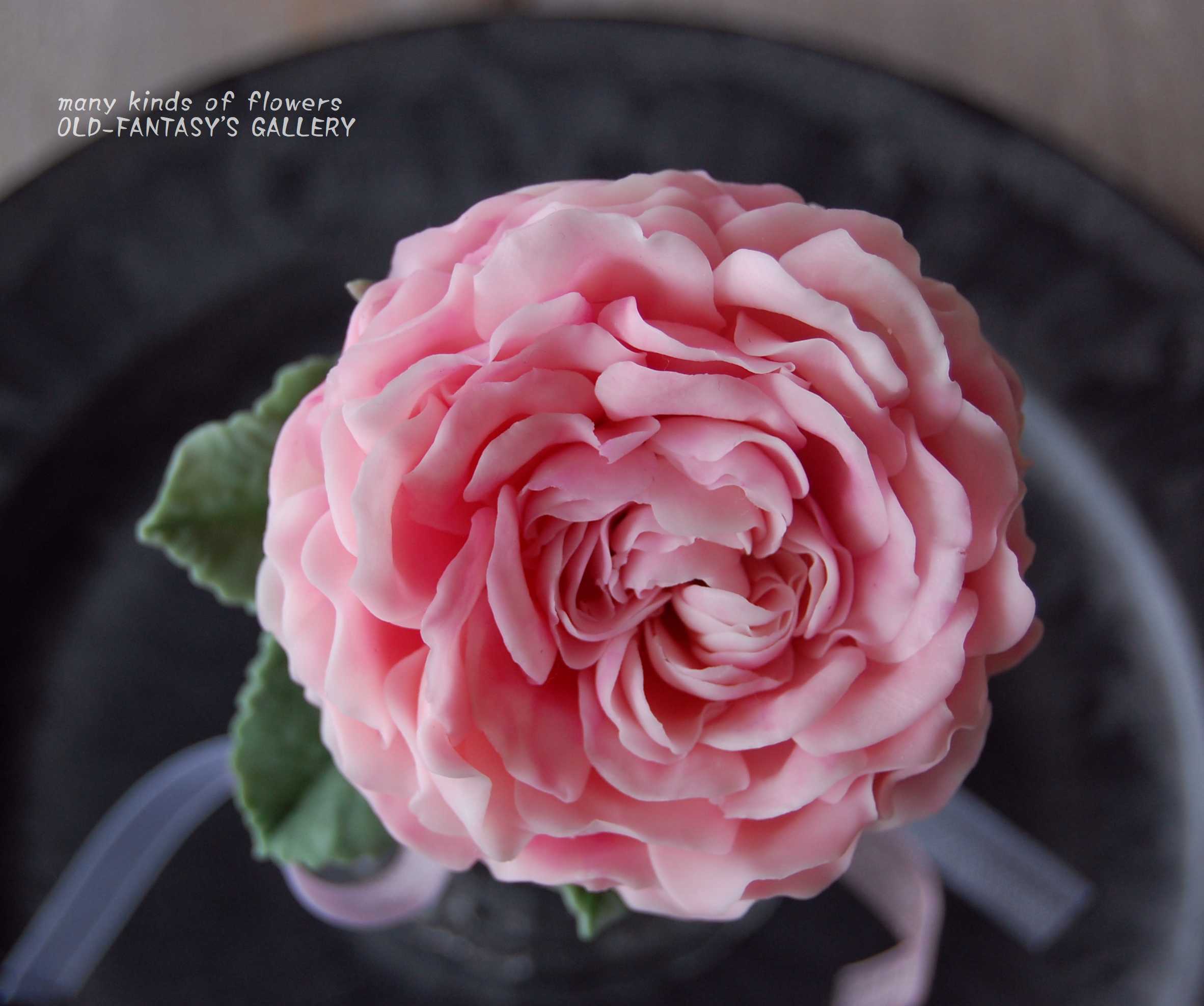 イングリッシュローズをオルリムフラスコベースに飾って 薔薇 高さ約15センチ B510 Oldfantasy