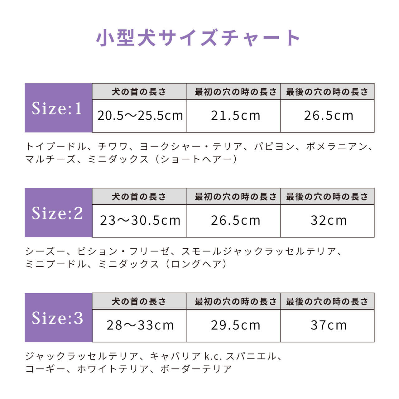 ホリー リル クリスタルパレス スワロフスキーバニラ リード 幅 1 5cm Pino E Palude ホリー リル クリスタルパレス スワロフスキーバニラ リード 幅 1 5cm Pino E Palude