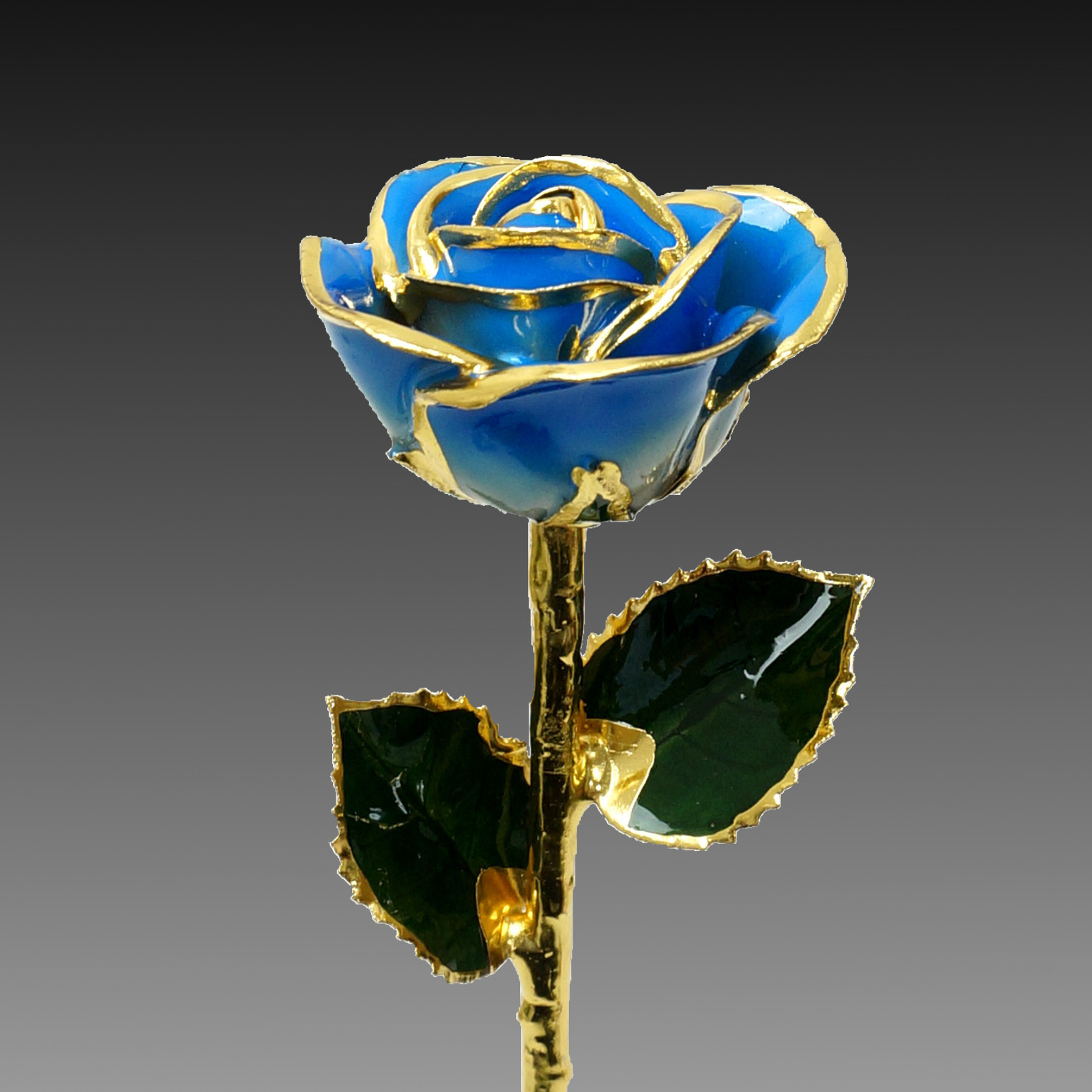 ギフトやブライダル 誕生日など特別な日に金の花など珍しい花やジェルキャンドルとフルオーダーリングのサプライズプレゼント Florrealカラーローズ ライトブルー ギフトやブライダル 誕生日などの特別な日に金の花などの珍しいプレゼント Florreal ギフトやブライダル 誕生日など特別な日に金の花など珍しい花やジェルキャンドルとフルオーダーリングのサプライズプレゼント Florrealカラーローズ ライトブルー ギフトやブライダル 誕生日などの特別な日に金の花などの珍しいプレゼント Florreal