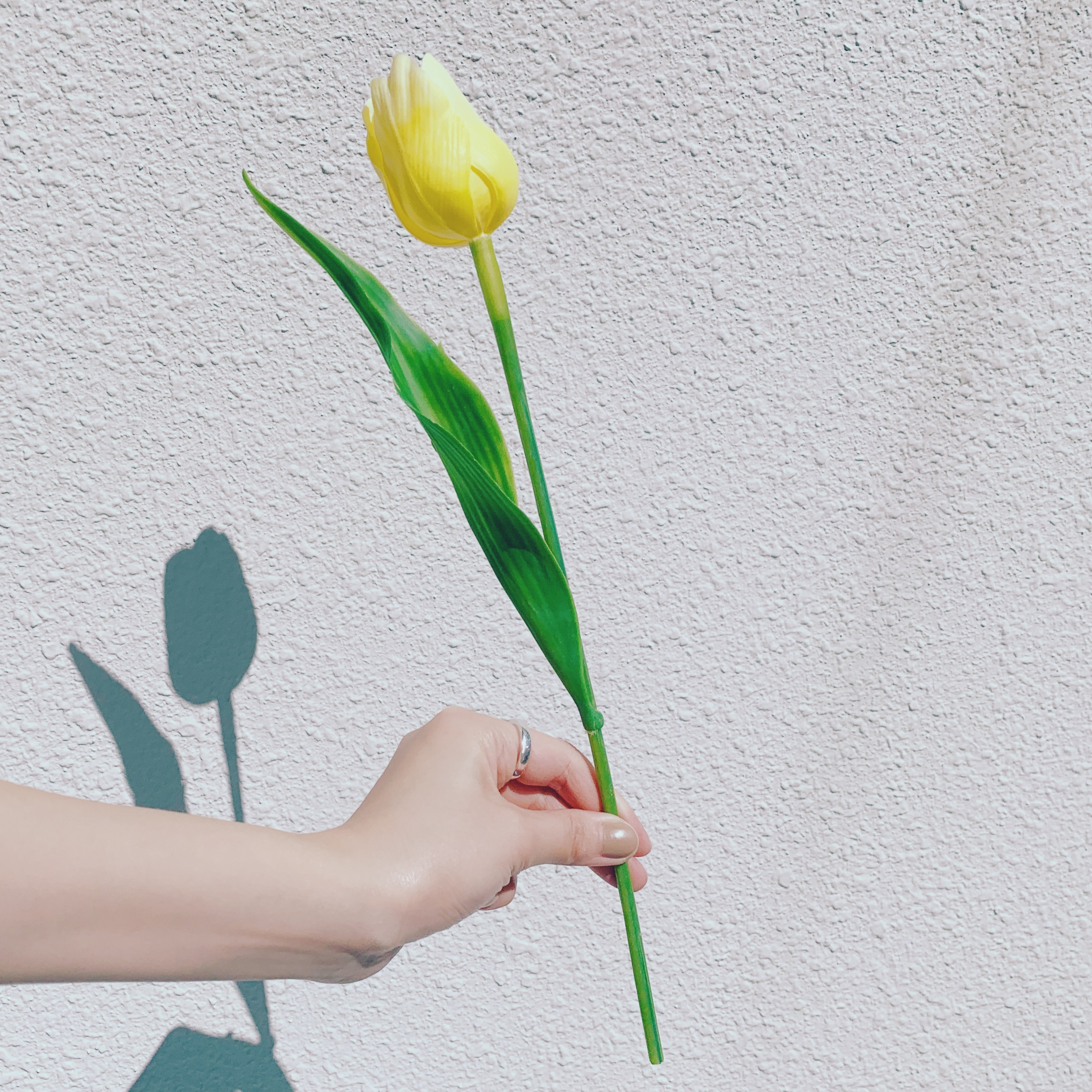 Mini Flower 黄色のチューリップ Cocogram Mini Flower 黄色のチューリップ Cocogram