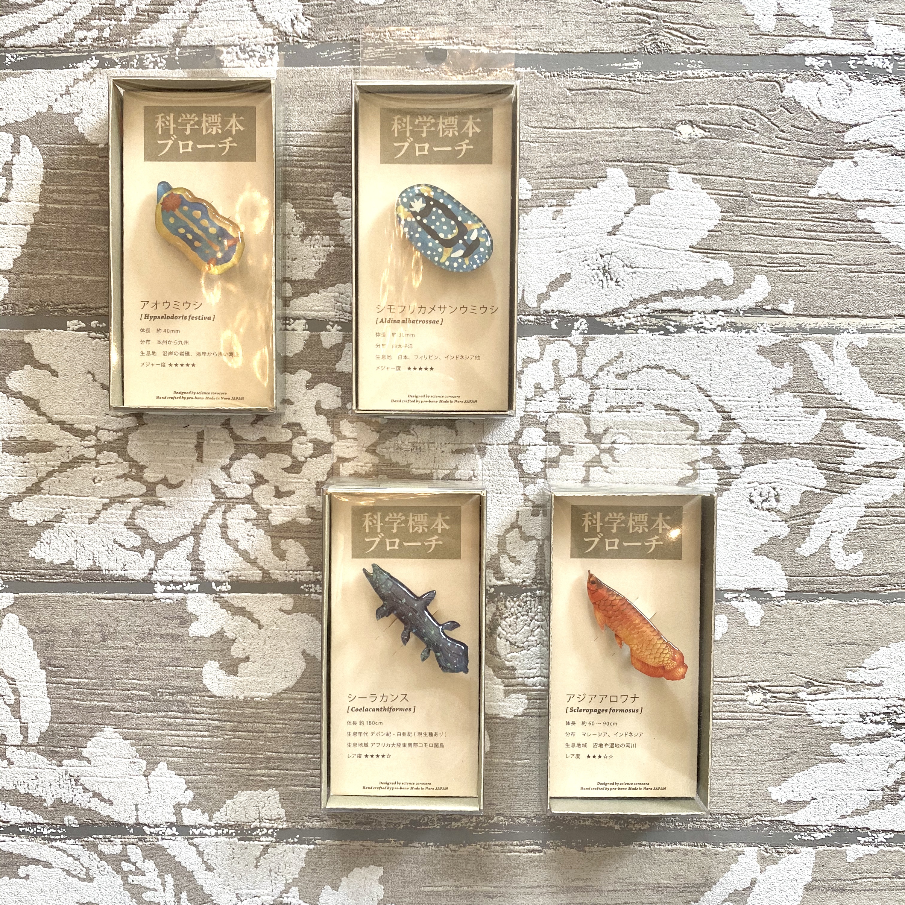 科学標本ブローチ ウミウシと魚 アトリエリジッタ