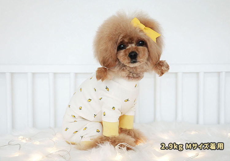 New Cute ロンパース Xs Xl 3color 犬服 春夏 新作 ドッグウェア オールインワン ロンパース ストレッチ 犬の服 つなぎ 猫 ペット用品ショップ Nari Pet New Cute ロンパース Xs Xl 3color 犬服 春夏 新作 ドッグウェア オールインワン ロンパース ストレッチ 犬の服 つなぎ 猫 ペット用品ショップ Nari Pet