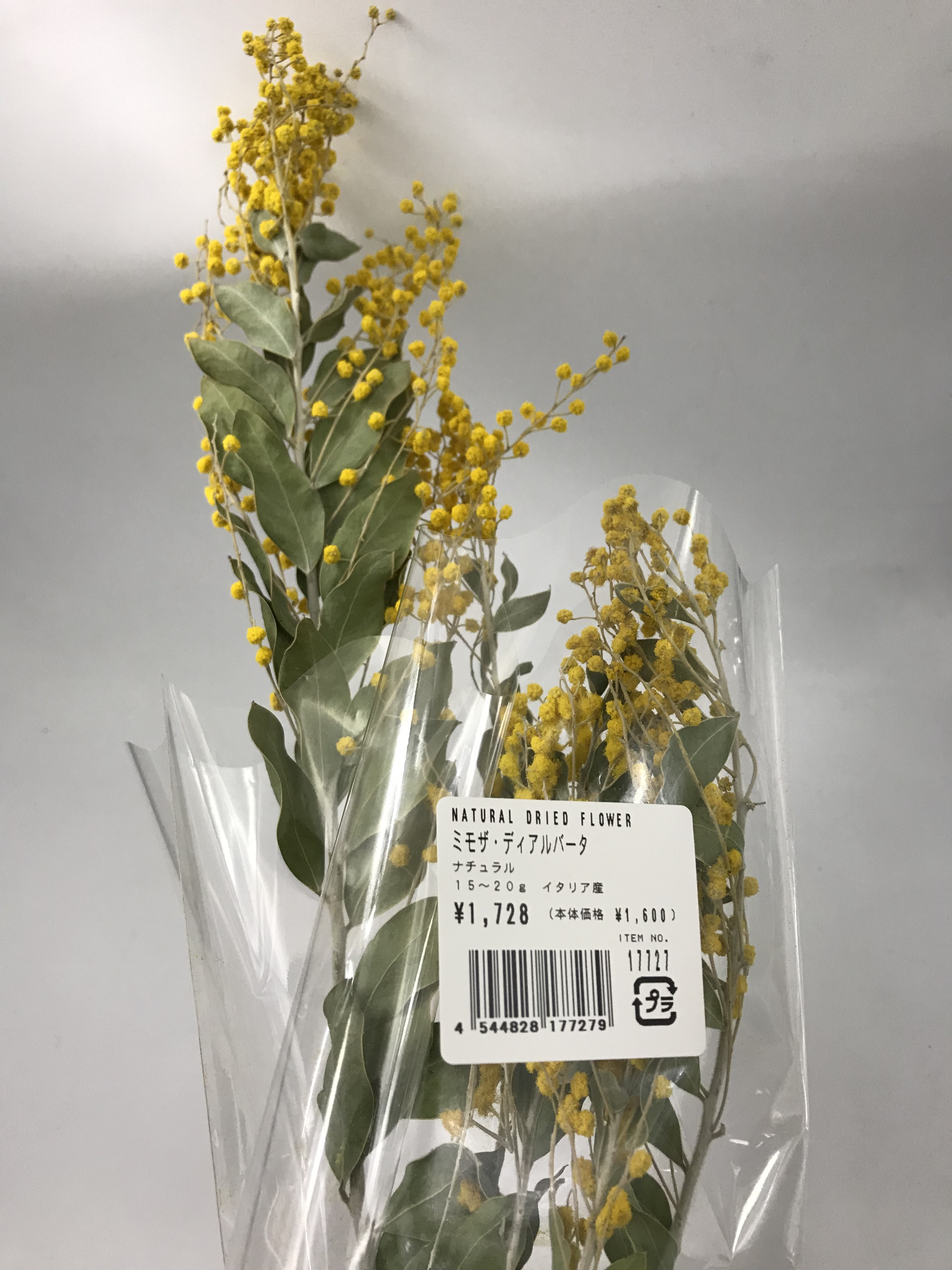ドライ コアトレーディング ミモザ 約30g ナチュラル 大阪花材