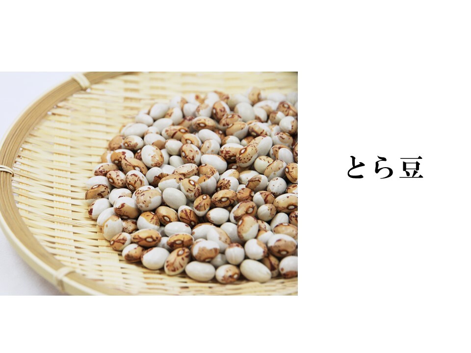 【500g】とら豆 ★新物 令和2年産★