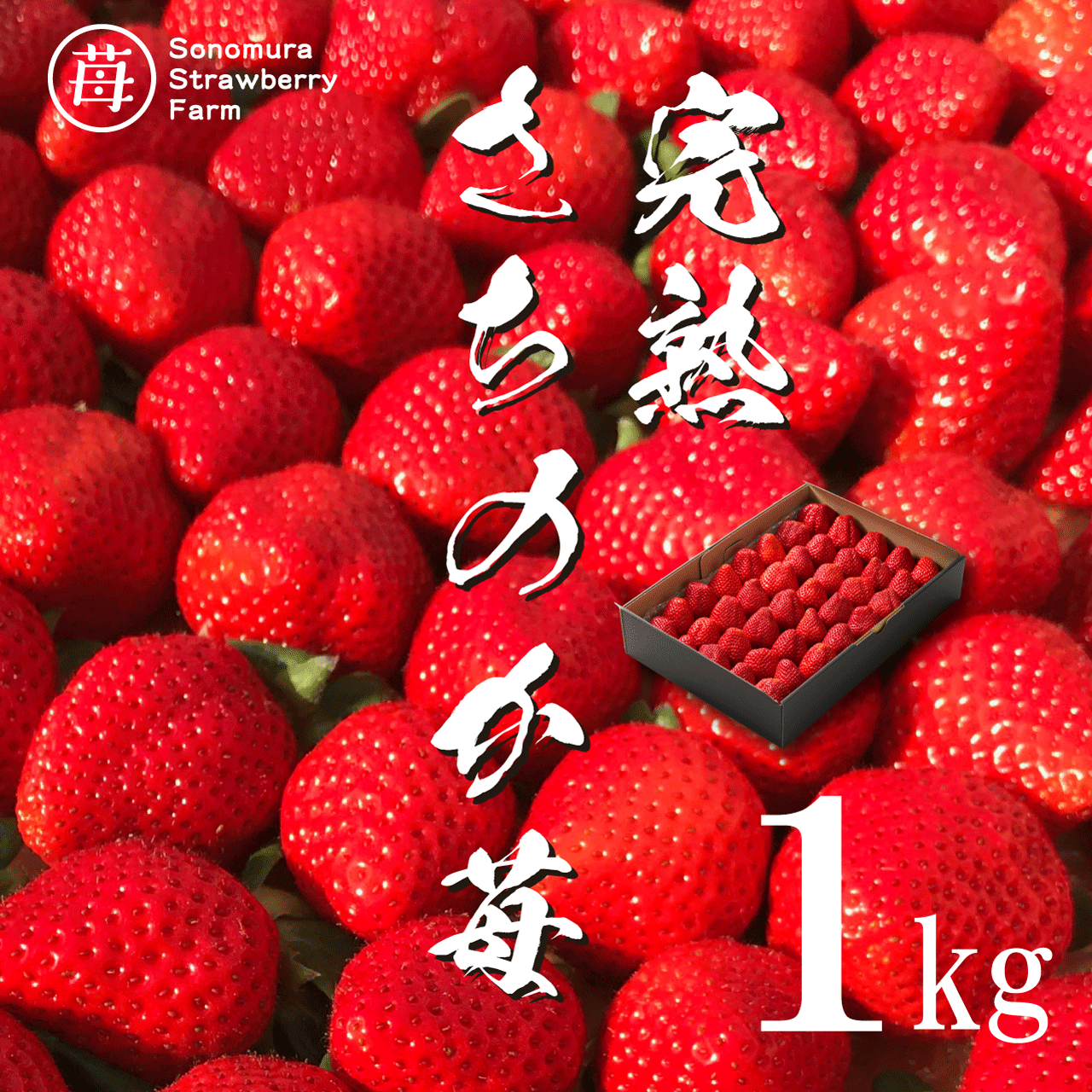 完熟さちのか苺 1kg 冷凍いちご通販 こだわりの減農薬栽培 園村苺園 完熟さちのか苺 1kg 冷凍いちご通販 こだわりの減農薬栽培 園村苺園