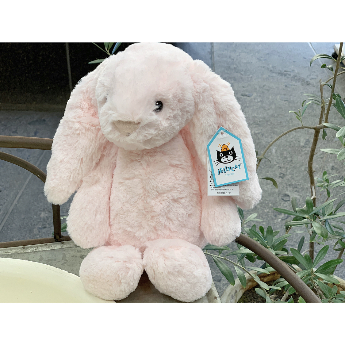 Jelly Cat ジェリーキャット Bashful Pink Bunny Medium ぬいぐるみmサイズ 暮らし道具と服のお店 Zoo Jelly Cat ジェリーキャット Bashful Pink Bunny Medium ぬいぐるみmサイズ 暮らし道具と服のお店 Zoo