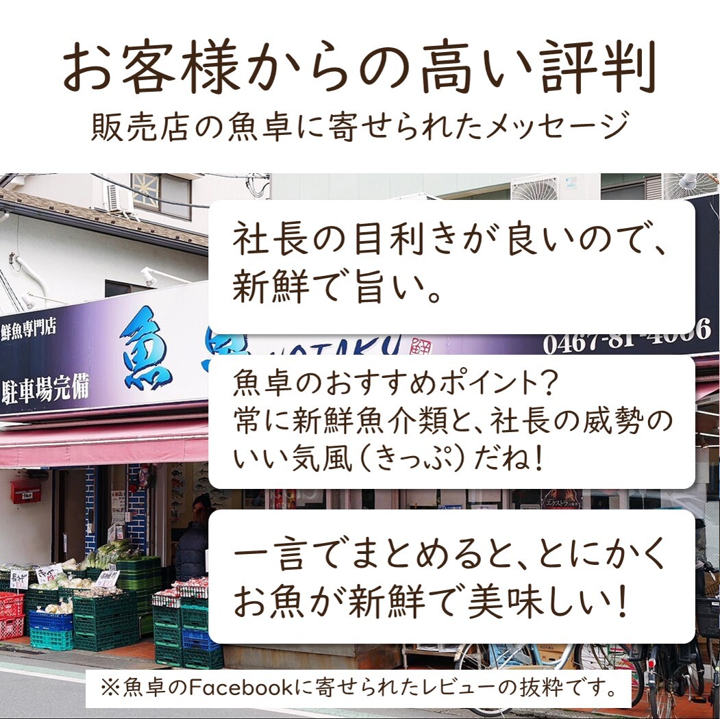 お魚定期便 月1 全3回 刺身 魚卓お試し鮮魚セット 茅ヶ崎産 釜揚げしらすサービス 湘南茅ヶ崎 顔の見えるお店