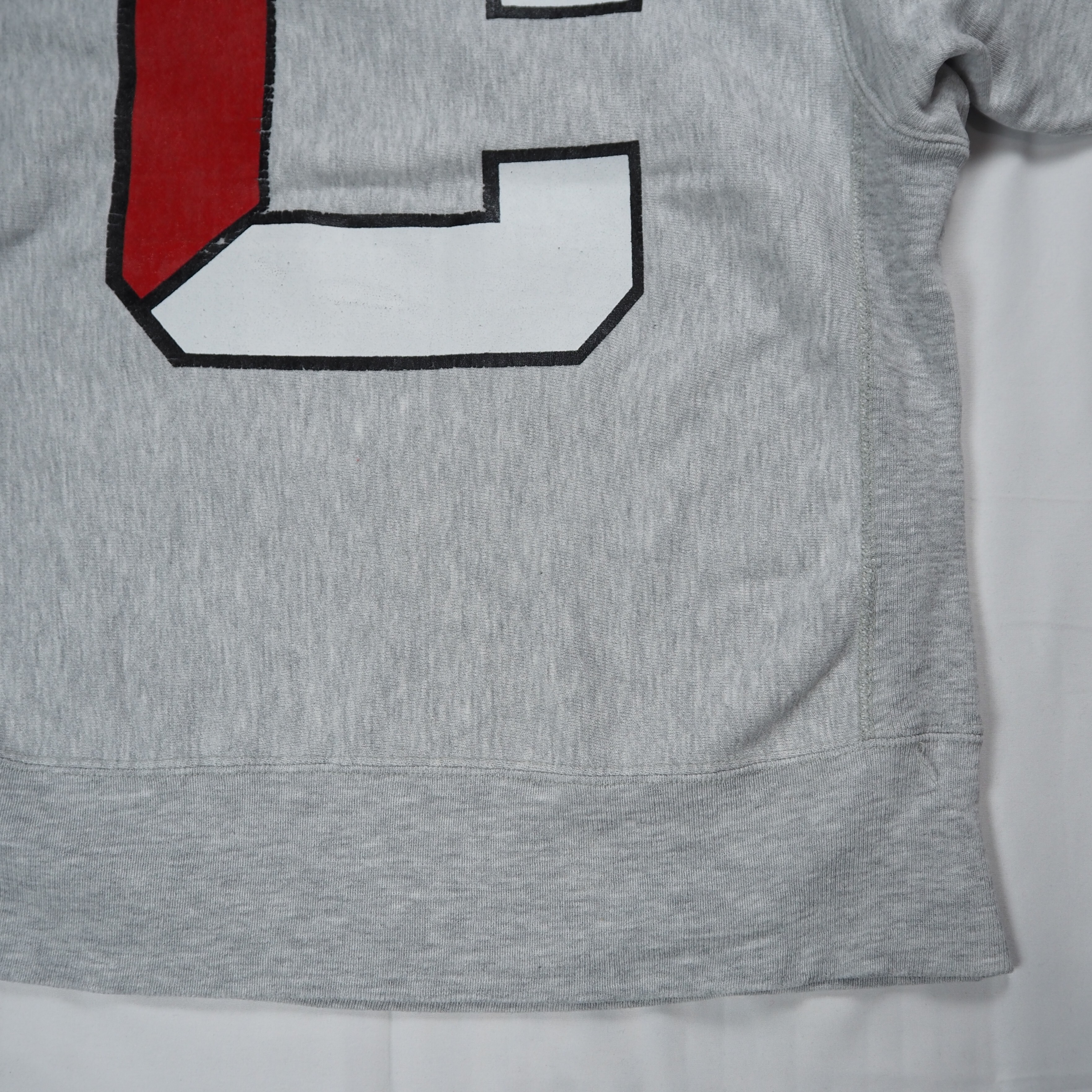 【9/23 20:00入荷】90's Champion リバースウィーブ Mサイズ バックプリント の画像 2