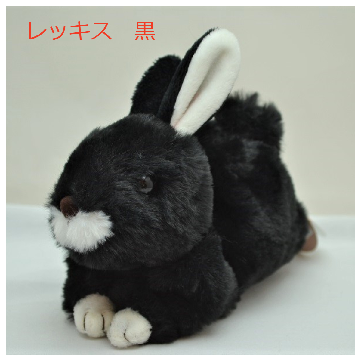 うさぎのマロン たち耳 うさぎセレクトショップ森音 東京神田のうさぎ雑貨 うさぎのマロン たち耳 うさぎセレクトショップ森音 東京神田のうさぎ雑貨