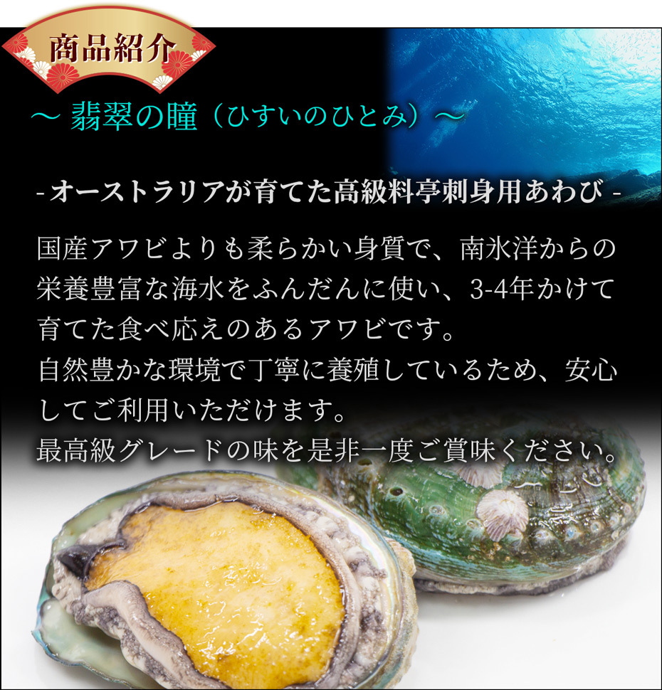 送料無料 あわび 高級料亭刺身用 1kg 2lサイズ10粒 公式hp 博多魚匠