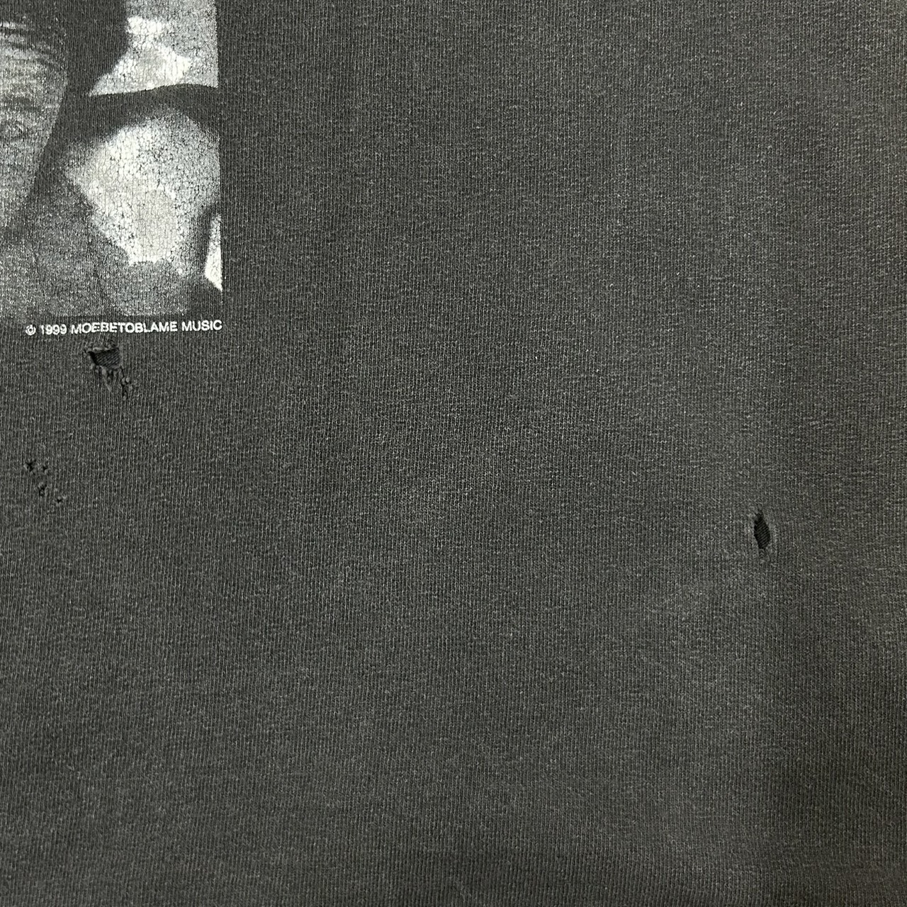 Red Hot Chili Peppers “Californication” Monochrome Band T-Shirt GILDAN L の画像 8
