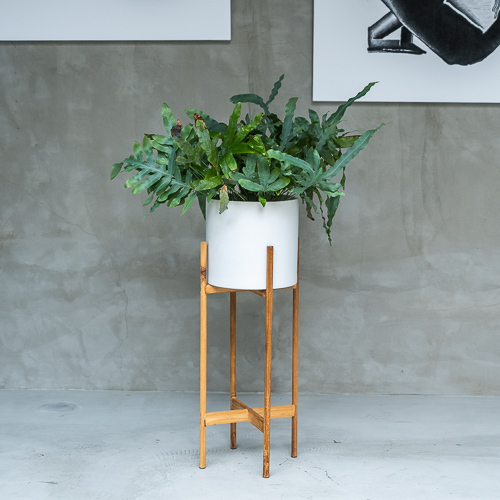 フレボディウム オーレウム ブルースター Greenbomb