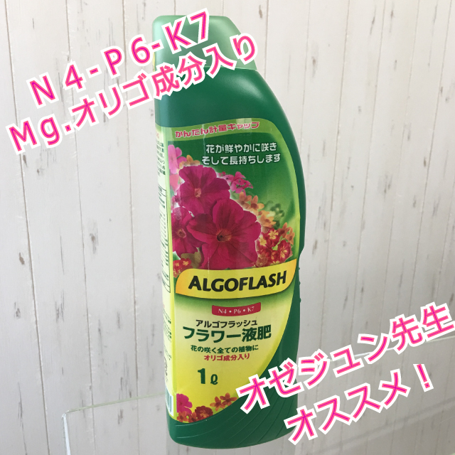アルゴフラッシュフラワー液肥1ℓオゼジュン先生イチオシ!液体肥料 - 画像1