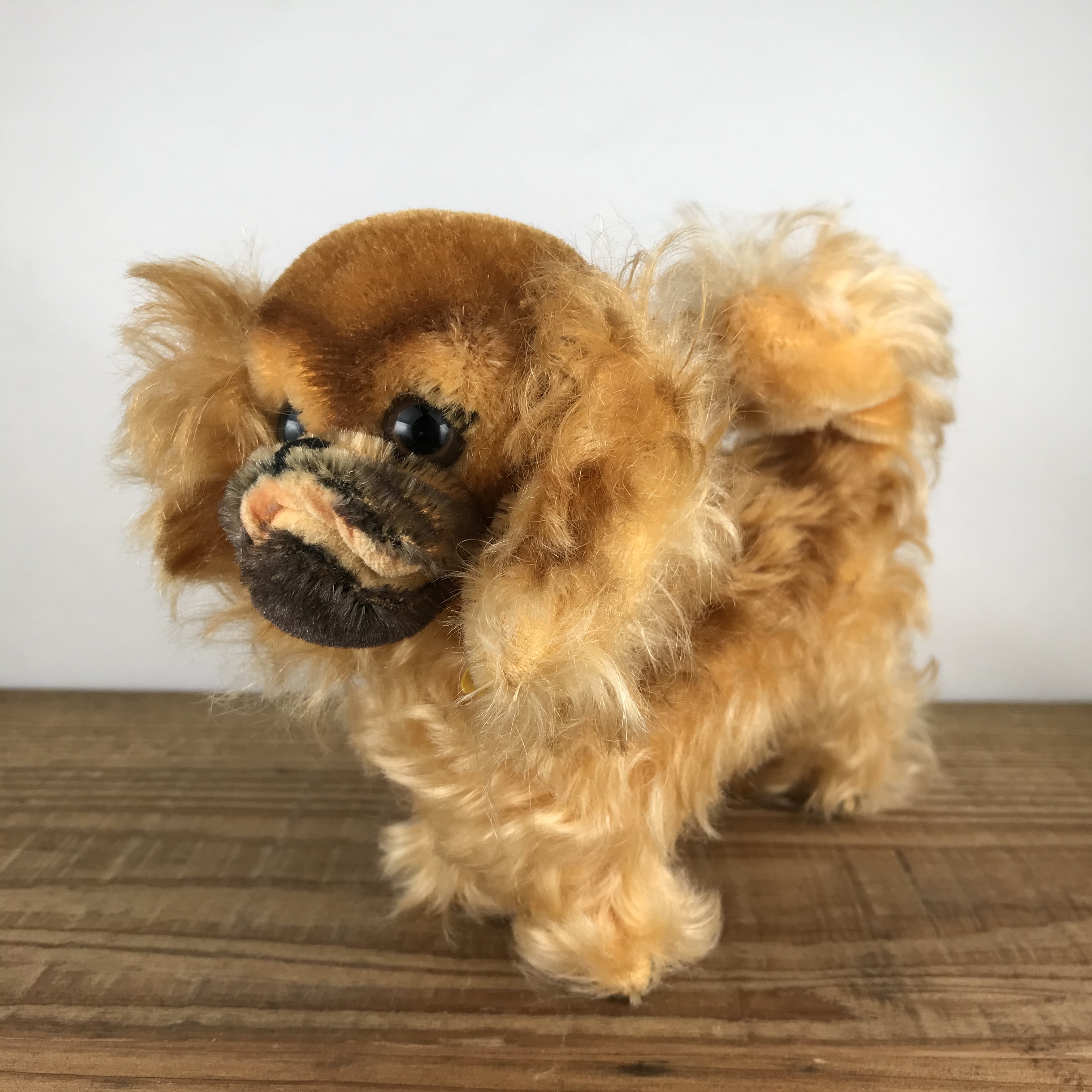 シュタイフ ペキニーズ Steiff Pekinese Peky 14cm ヒガシマチマーケット シュタイフ ペキニーズ Steiff Pekinese Peky 14cm ヒガシマチマーケット
