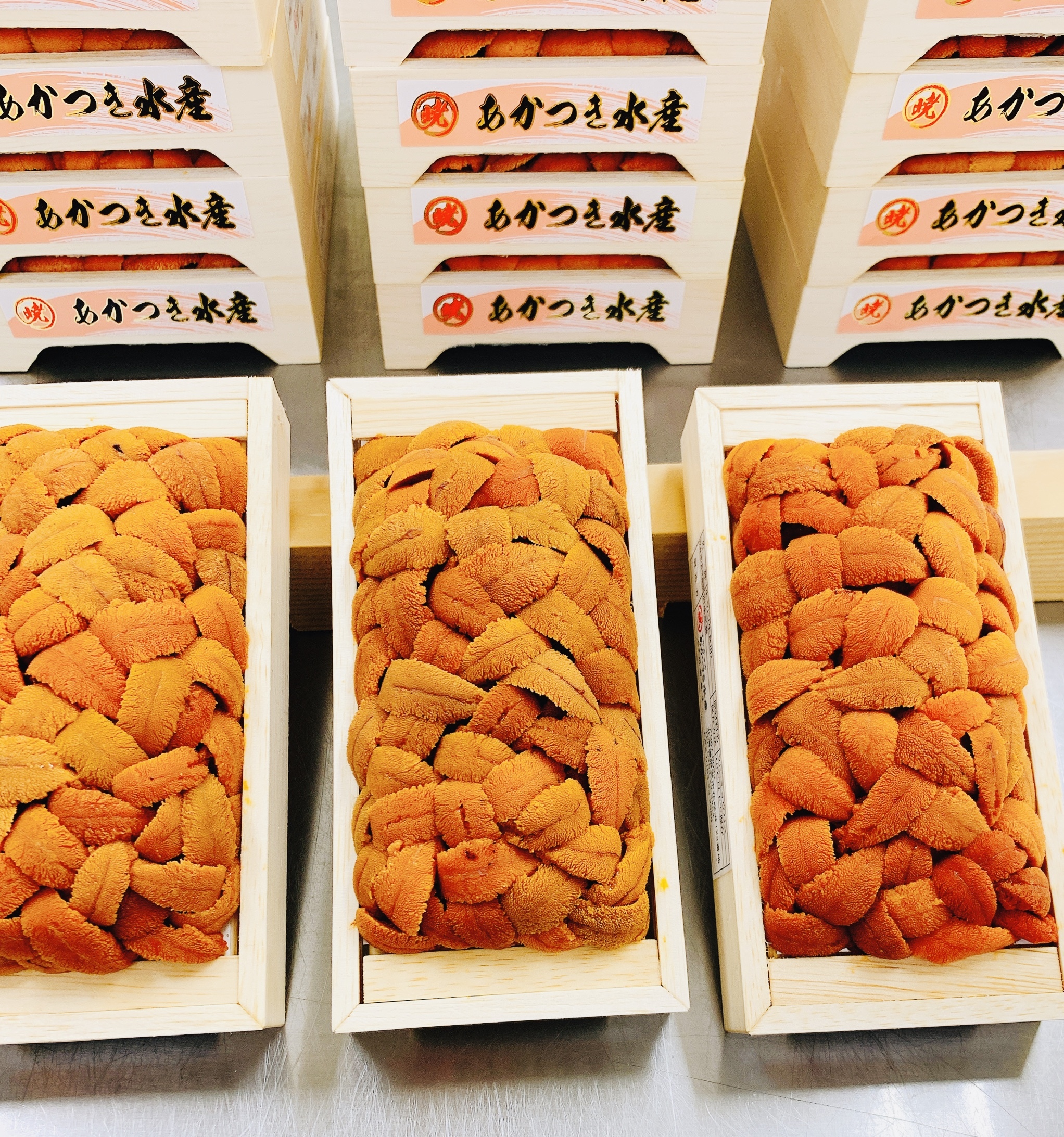 訳あり価格 天然 折うに 100g ロシア産 あかつき 訳あり価格 天然 折うに 100g ロシア産 あかつき