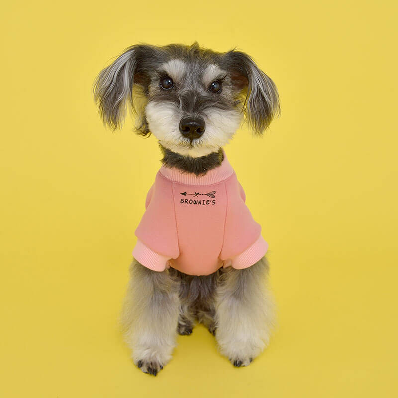 Brownie S ブラウニーズ ハングリータイガートレーナー S M L 2l 3l Br 1 Braw Wanvoyage ワンボヤージュ 犬の服 おしゃれ 犬服 ドッグウェア トイプードル チワワ ダックス Wan Voyage ワンボヤージュ お洒落なドッグウェア 犬服のお店