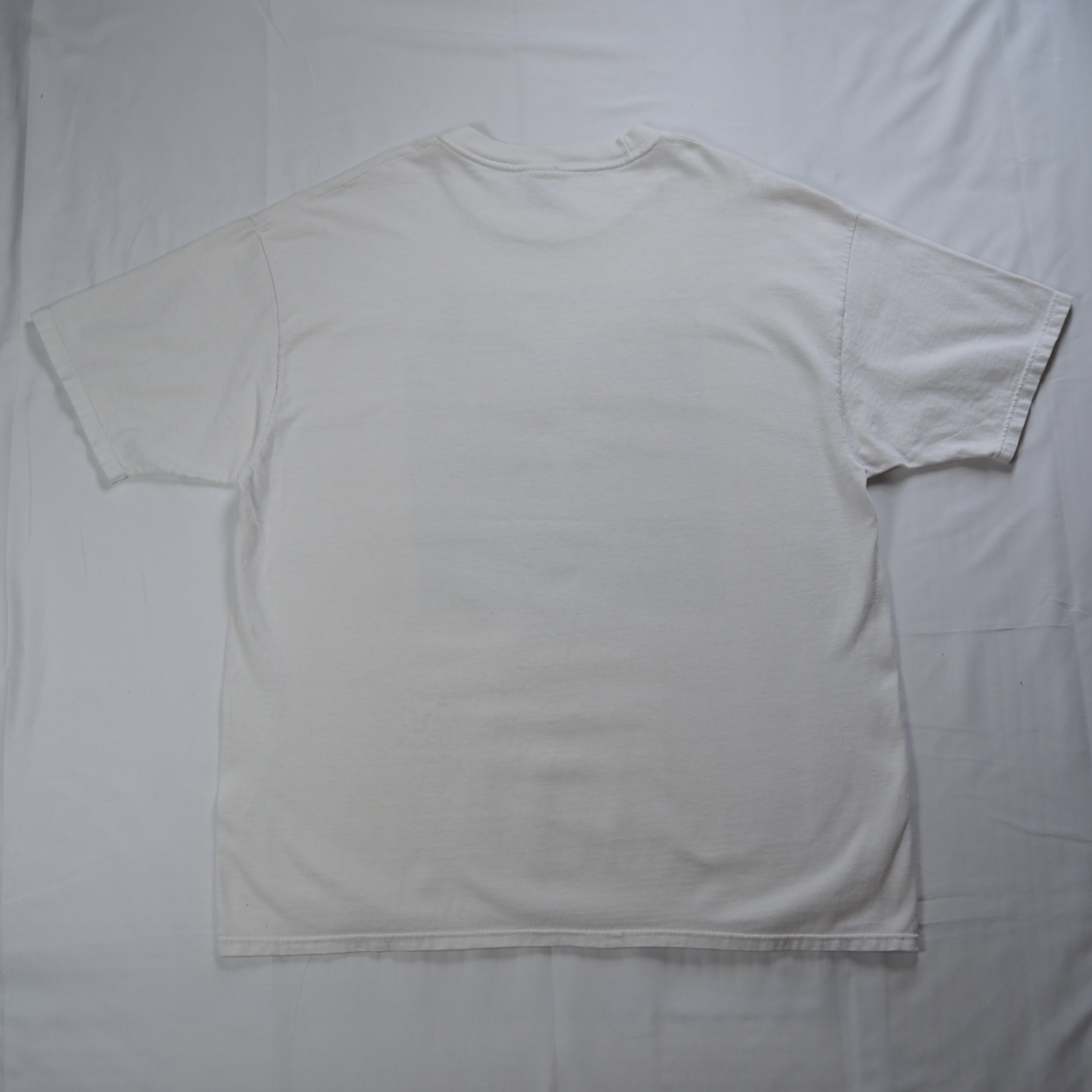 90’s Hanes サーベルタイガーTシャツ XL の画像 14