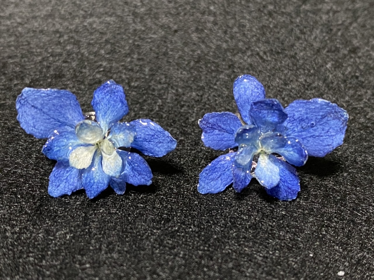 あじさいのピアス 素材 ドライフラワー ねこねこ堂