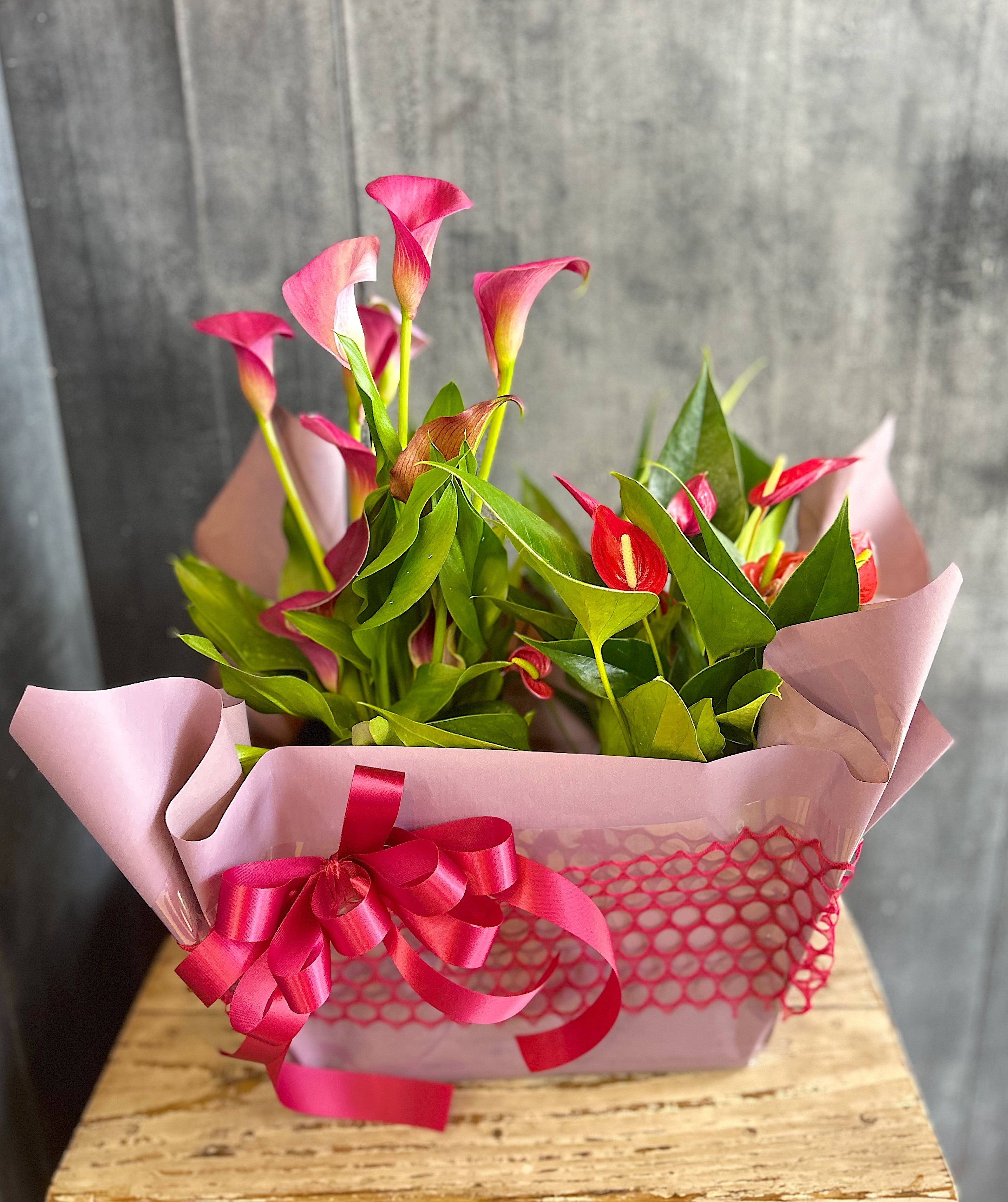 母の日(2025) Ⓓエレガントで個性豊かな花鉢セット（カラーとアンスリューム）（宅配便可）