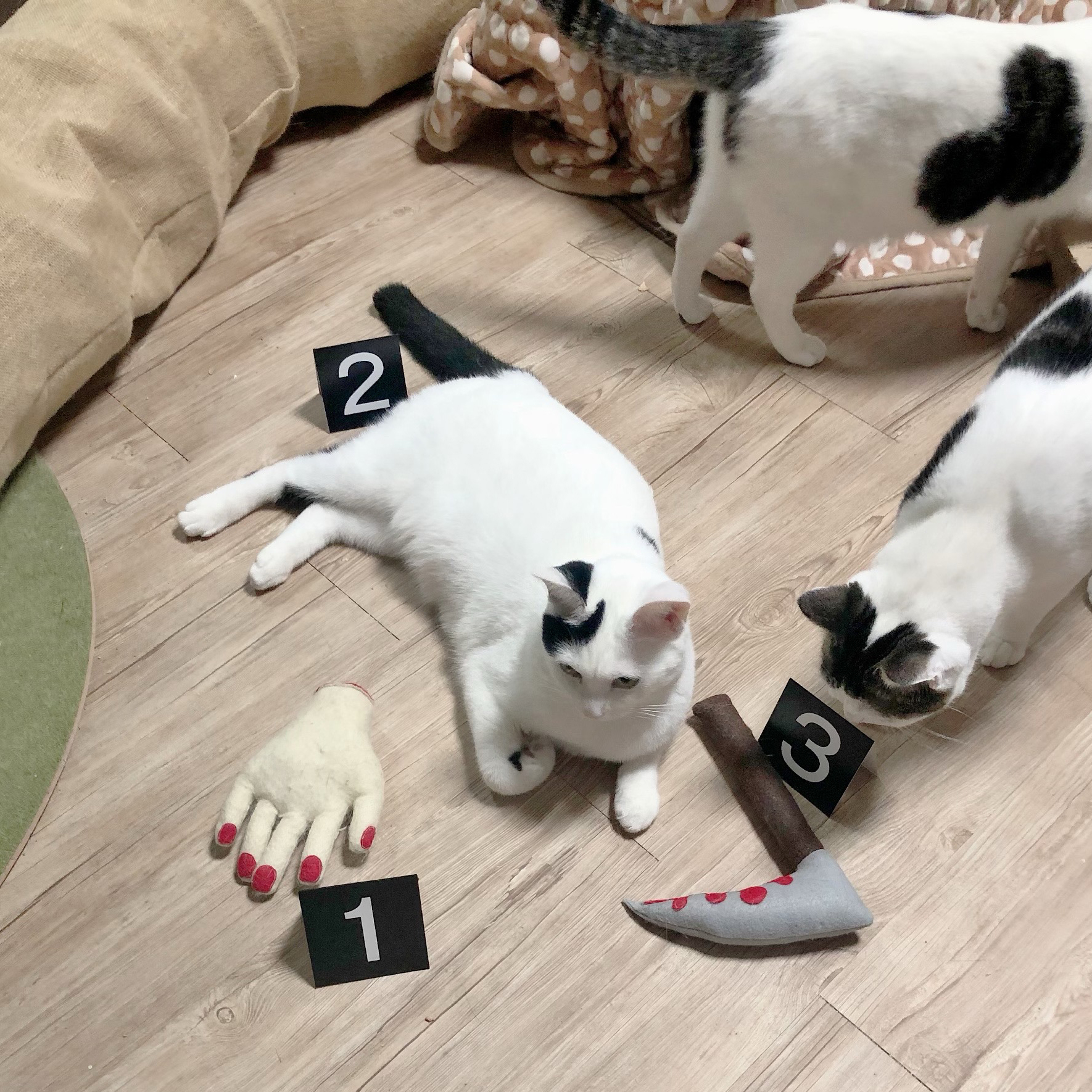 ちぎれたネズミ しずくーらんど売店