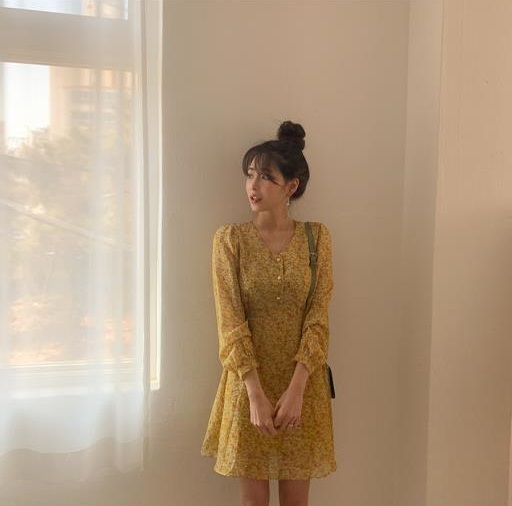 春新作 シフォン 花柄 シースルー ワンピース 長袖 Vネック ミニワンピ 透け感 清楚系 トレンド ウエストマーク レディース 春 夏 秋 Manajily オルチャン 韓国 プチプラレディースファッション