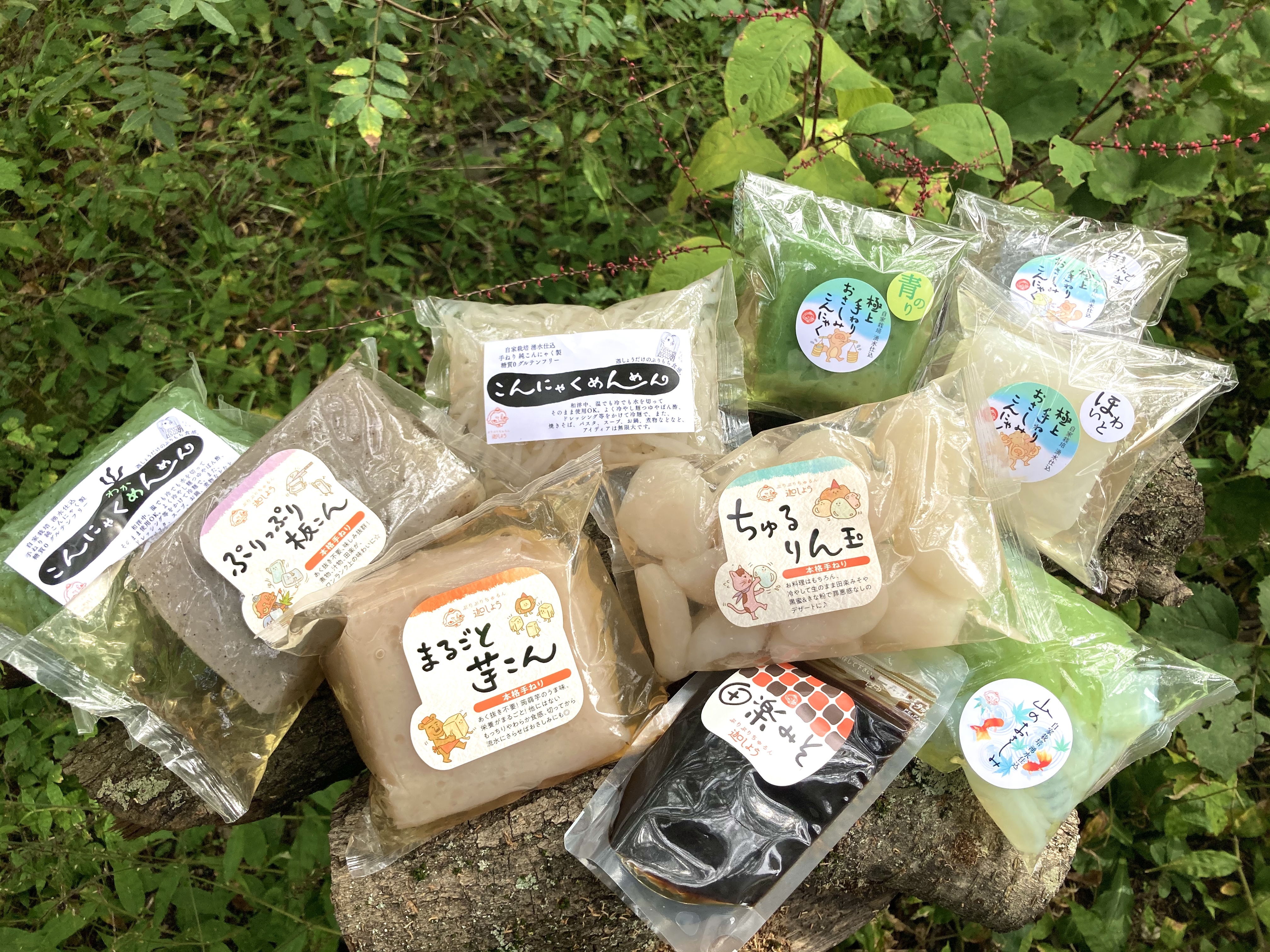 ひと通りお試し絶品こんにゃく10品セット Konjac Kasho ひと通りお試し絶品こんにゃく10品セット Konjac Kasho
