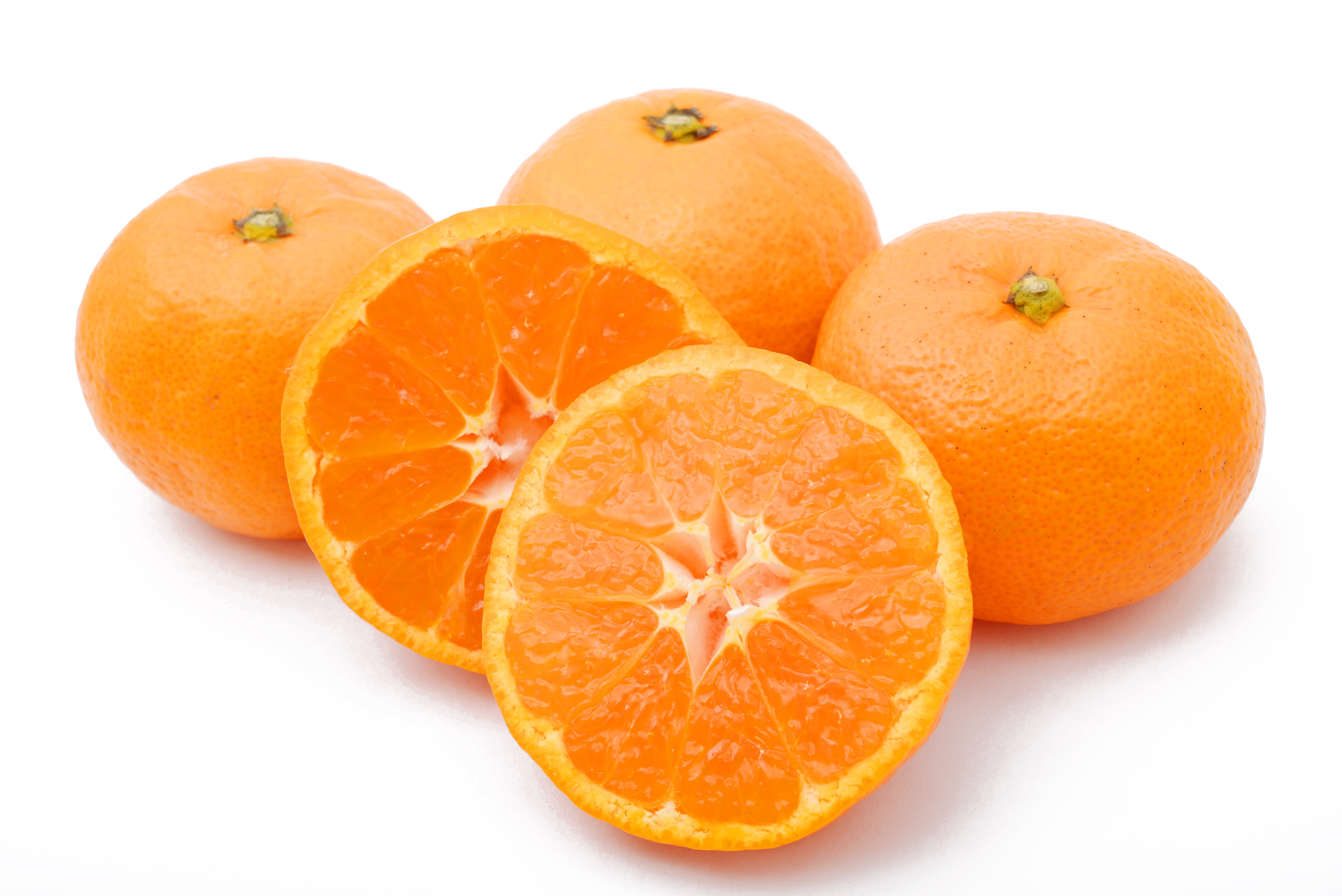 熊本県産みかん５kg １０月 ２月 道の駅旭志オンラインショップ