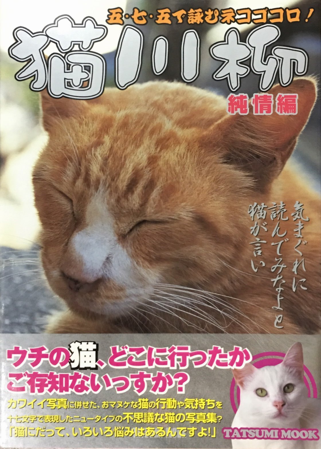 猫川柳純情編 猫本サロン 京都三条サクラヤ