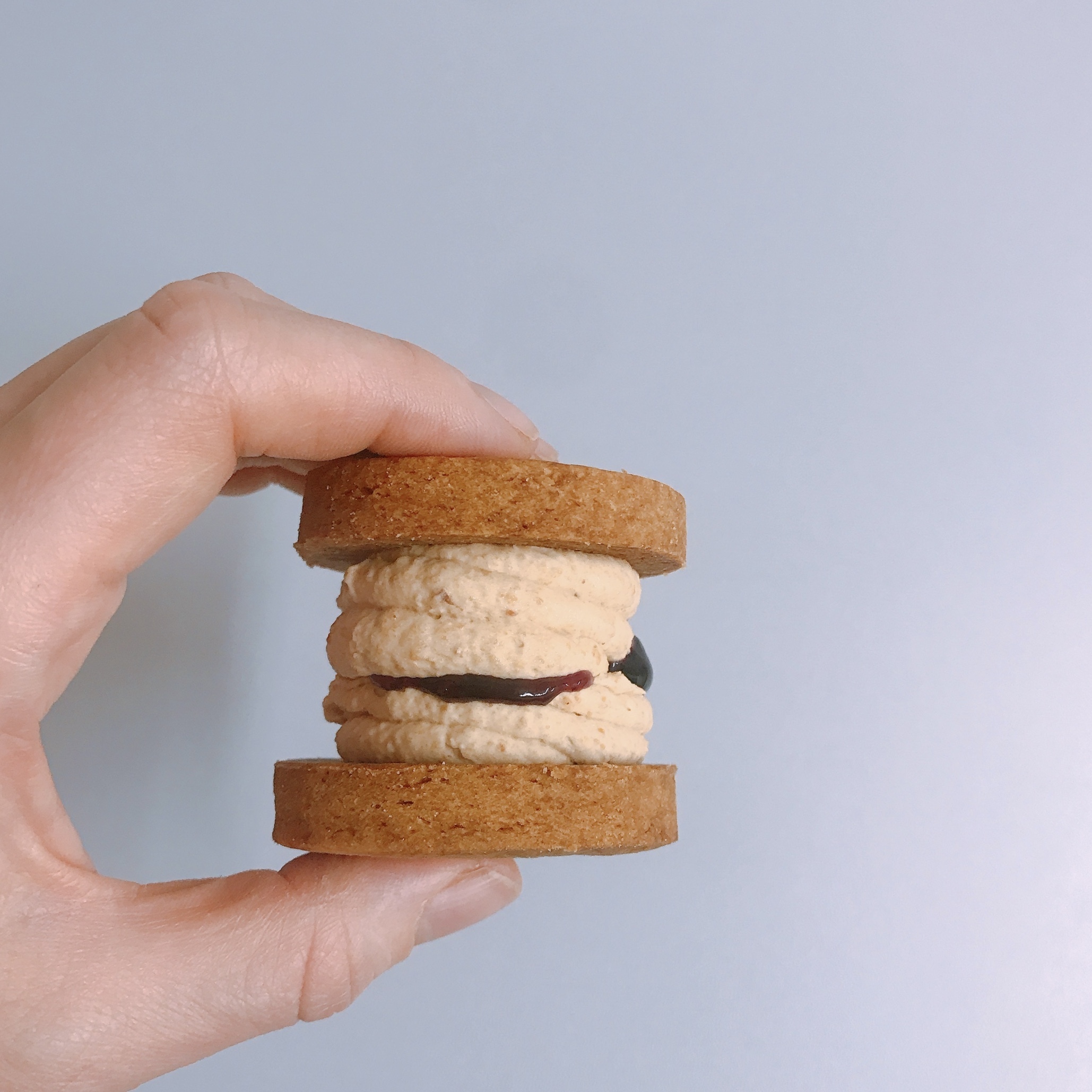 Pb J ビスケット 滋味菓子屋