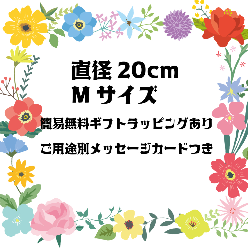 送料無料 受注製作 直径cm ホワイトピンクのアジサイとブルースターのリース 春 スプリング Studio Kukka スタジオクッカ 送料無料 受注製作 直径cm ホワイトピンクのアジサイとブルースターのリース 春 スプリング Studio Kukka スタジオクッカ