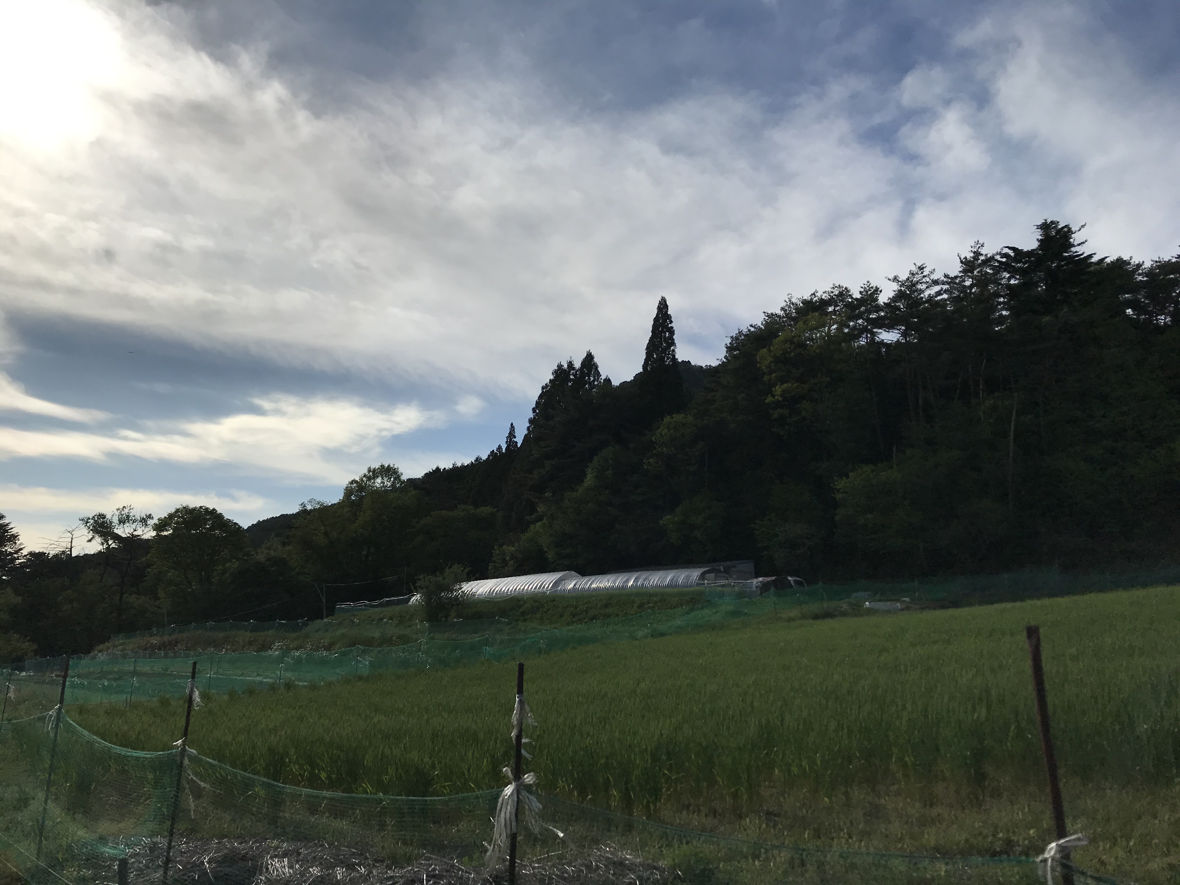 とっこさんちの雑穀 ひえ 暮らすファームsunpo