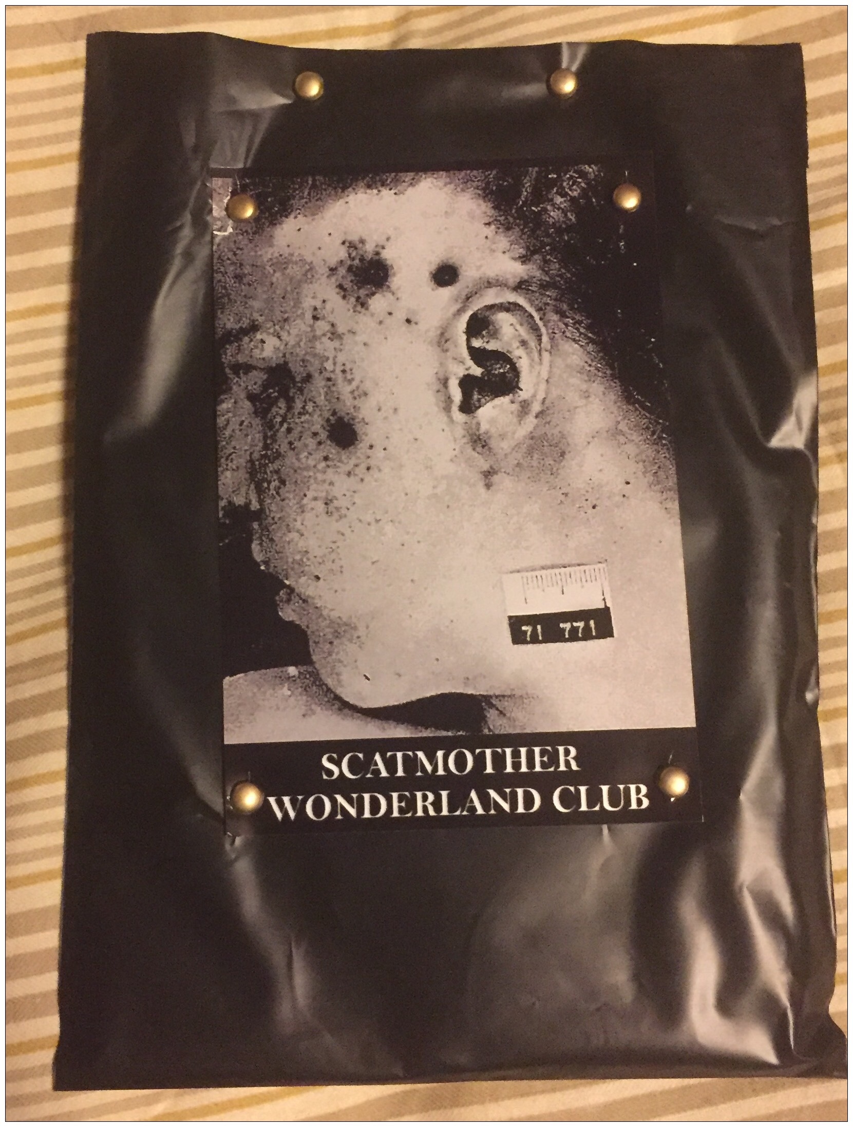 Scatmother / Wonderland Club - Split Tape - 画像1