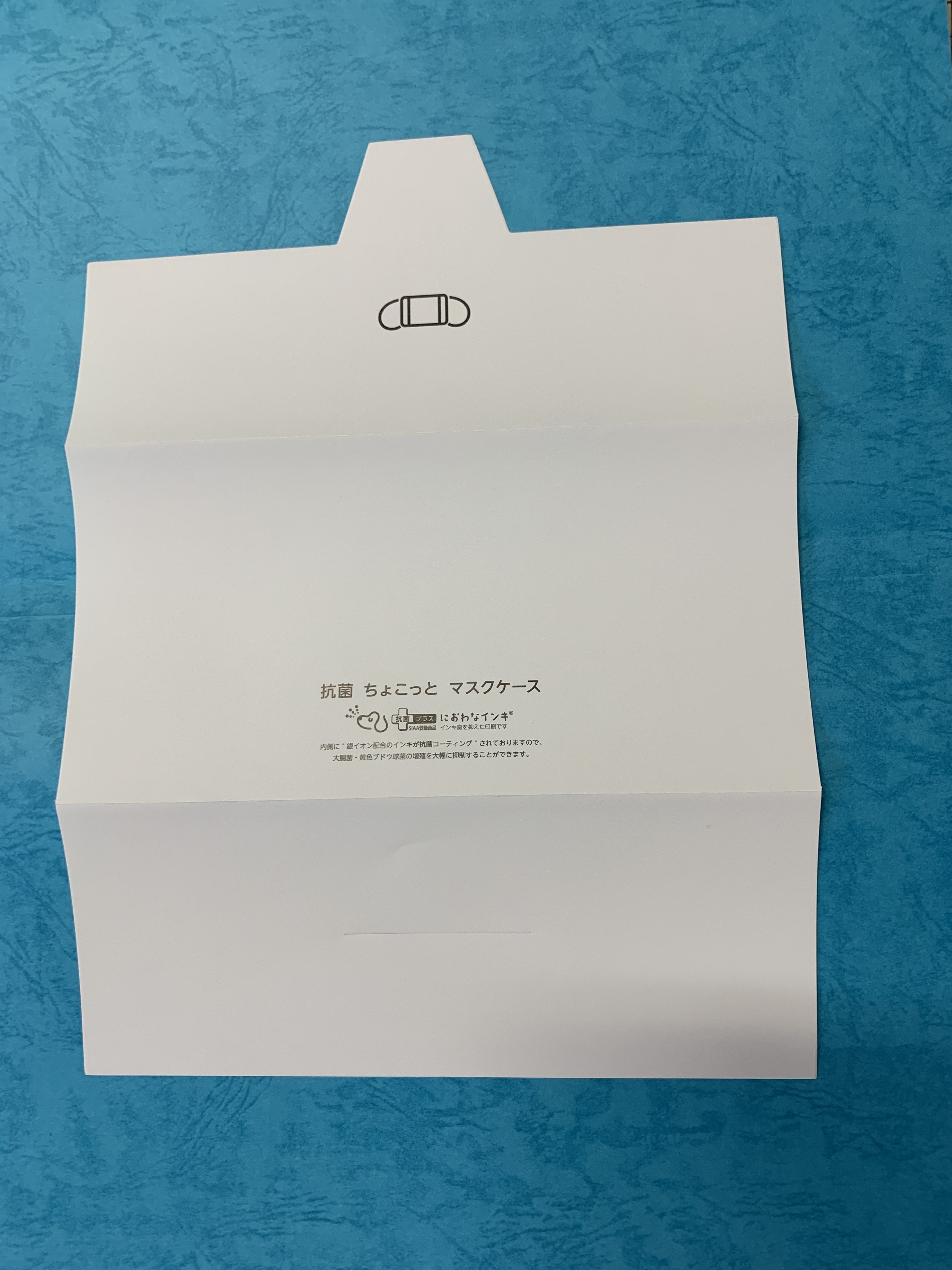 飲食店様必需品 紙製 使い捨てマスクケース 抗菌 ちょこっと マスクケース ハリネズミ柄 100枚入り 歯医者さん 美容院 ホテルにも プリントグッズ はとぽっぽ