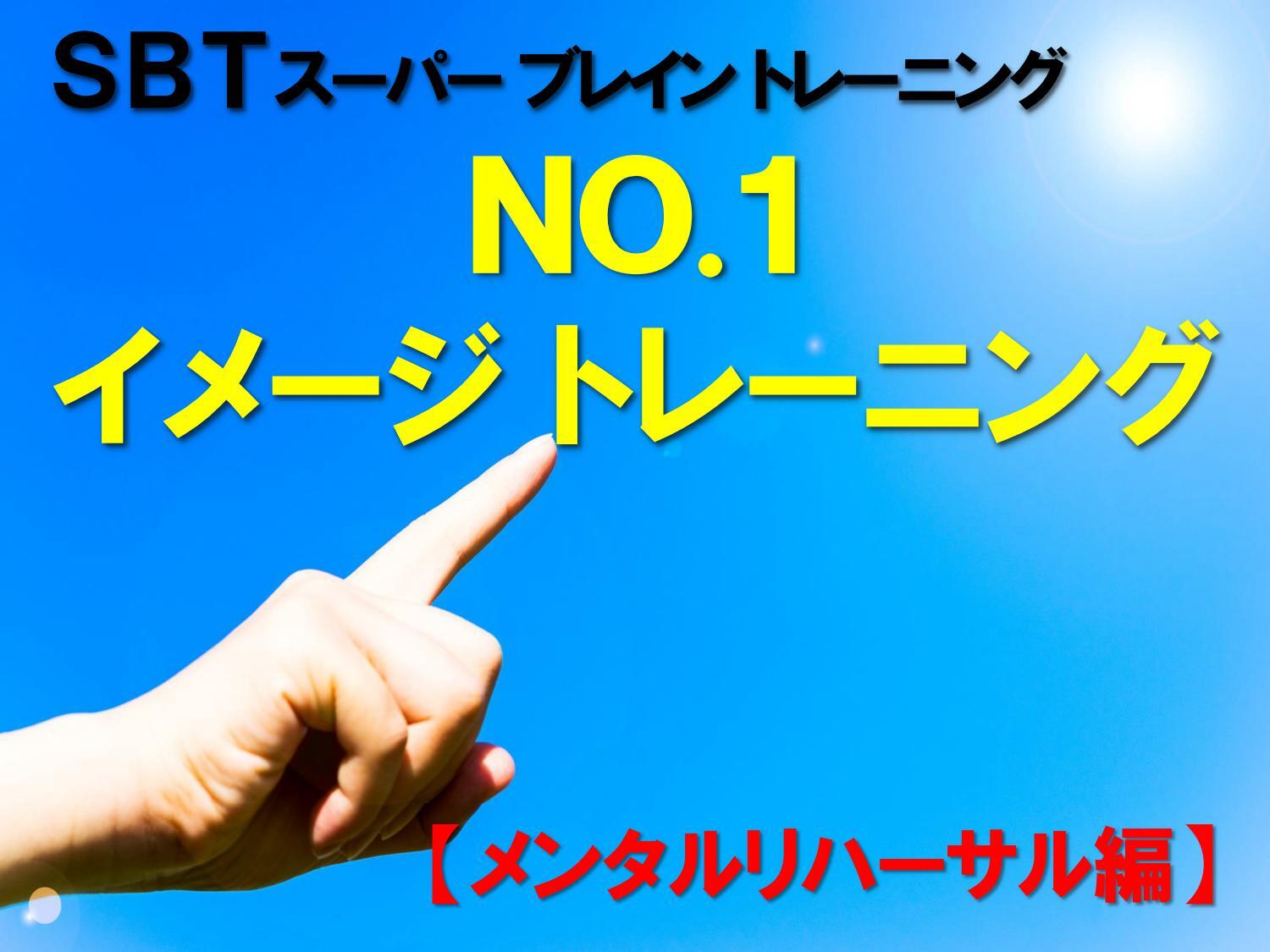No 1イメージトレーニング メンタルリハーサル編 サンリオンラインショップ No 1イメージトレーニング メンタルリハーサル編 サンリオンラインショップ