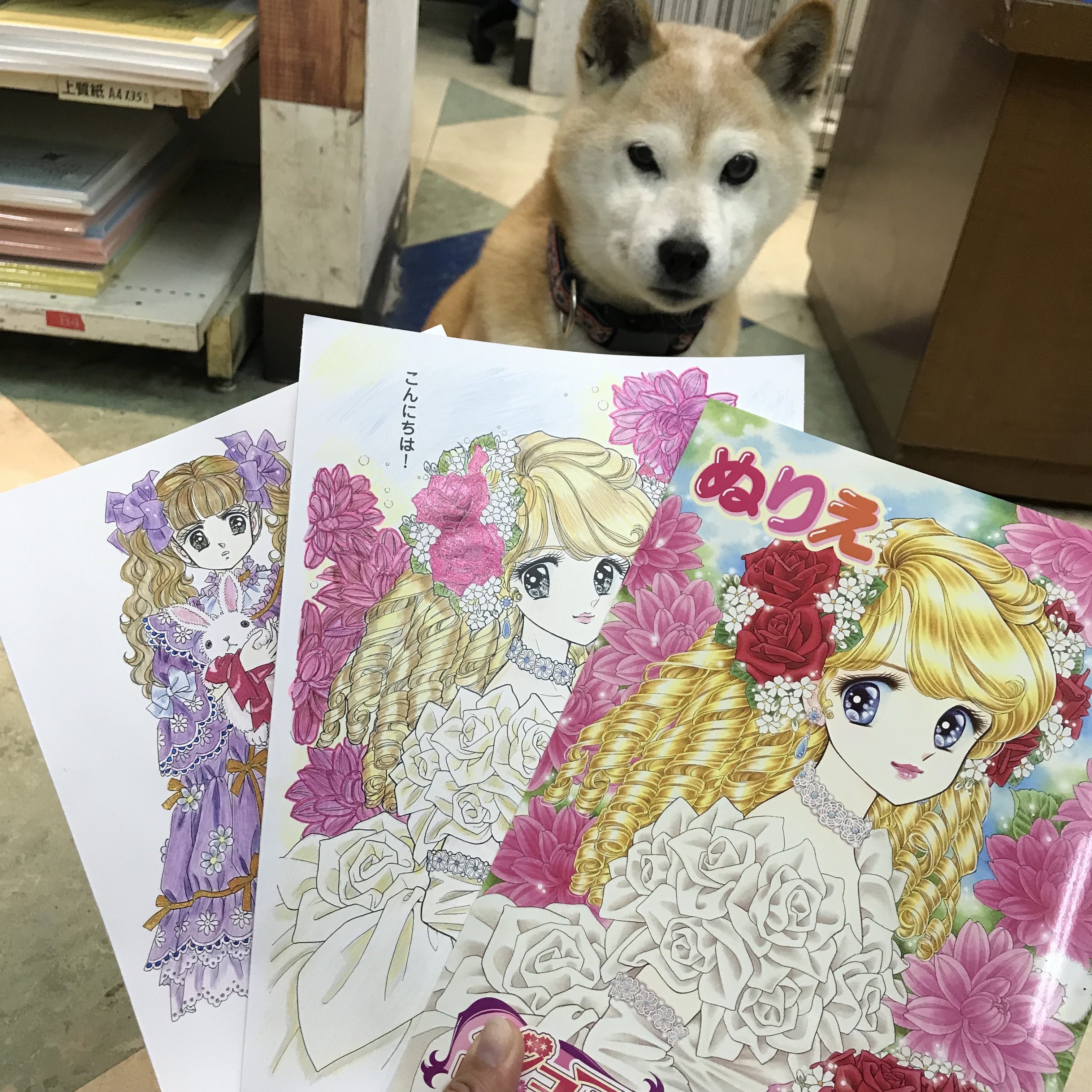 ぬりえ 女の子柄 看板犬のいる文具屋さん ぬりえ 女の子柄 看板犬のいる文具屋さん