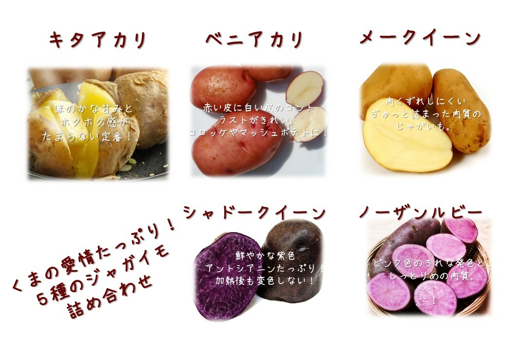 綺麗なじゃがいも ピンク 変色 美しい花の画像 綺麗なじゃがいも ピンク 変色 美しい花の画像