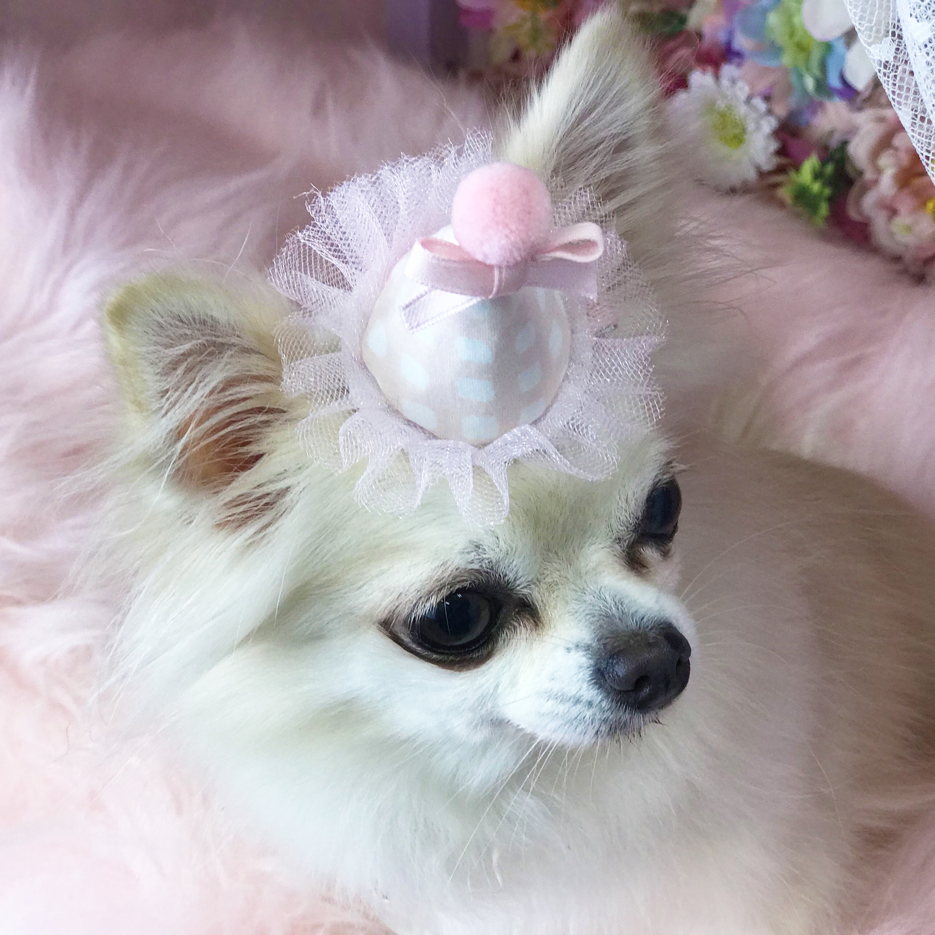 ピエロの帽子のヘアアクセサリー Npo法人ペット里親会noel S ピエロの帽子のヘアアクセサリー Npo法人ペット里親会noel S