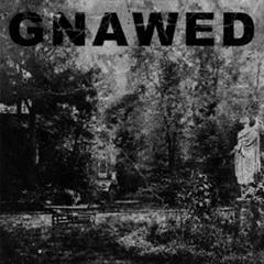 Gnawed - Feign and Cloak CD - 画像1