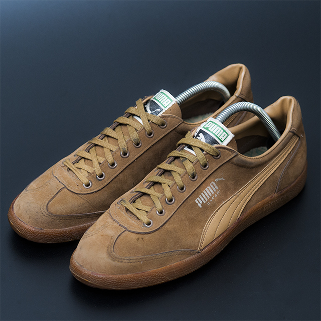 puma safari