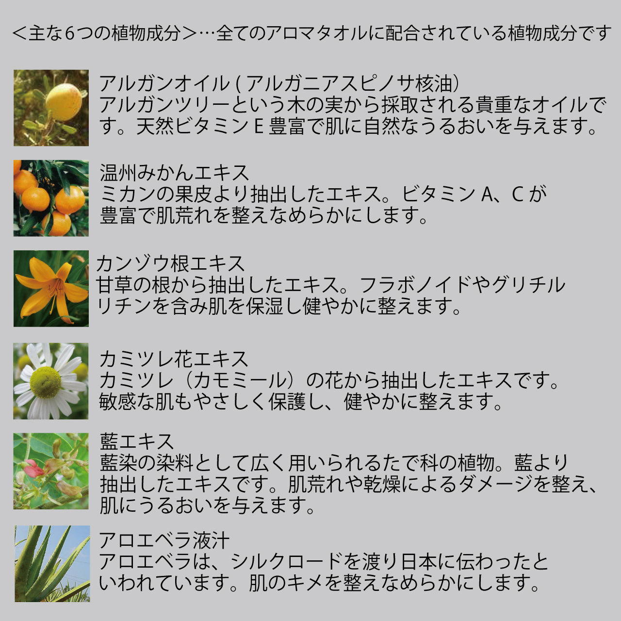 Deica Herbal Aroma Beauty Towel 15枚入り Deica Aroma Fragrance デイカアロマフレグランス