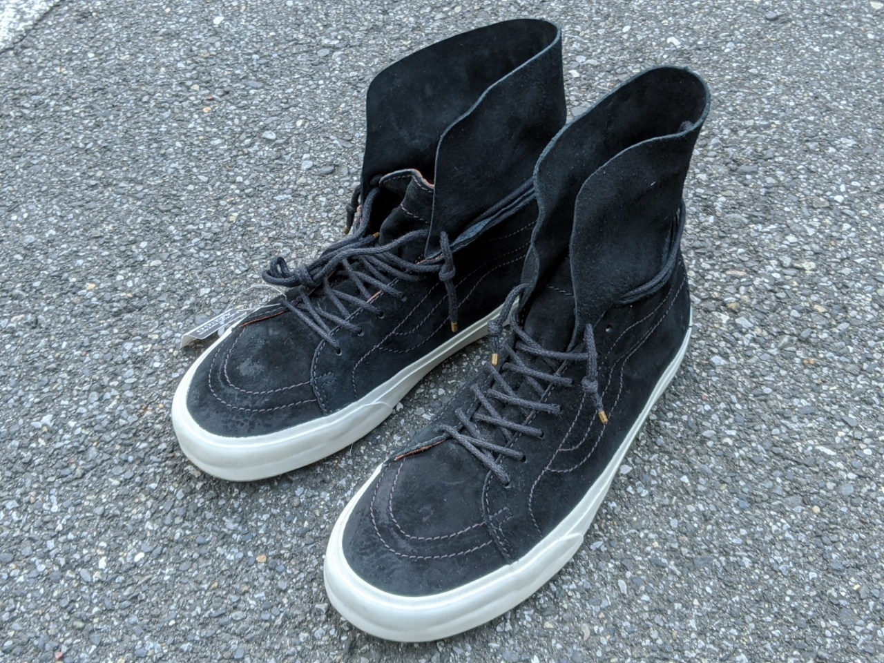 scotch guarding shoes